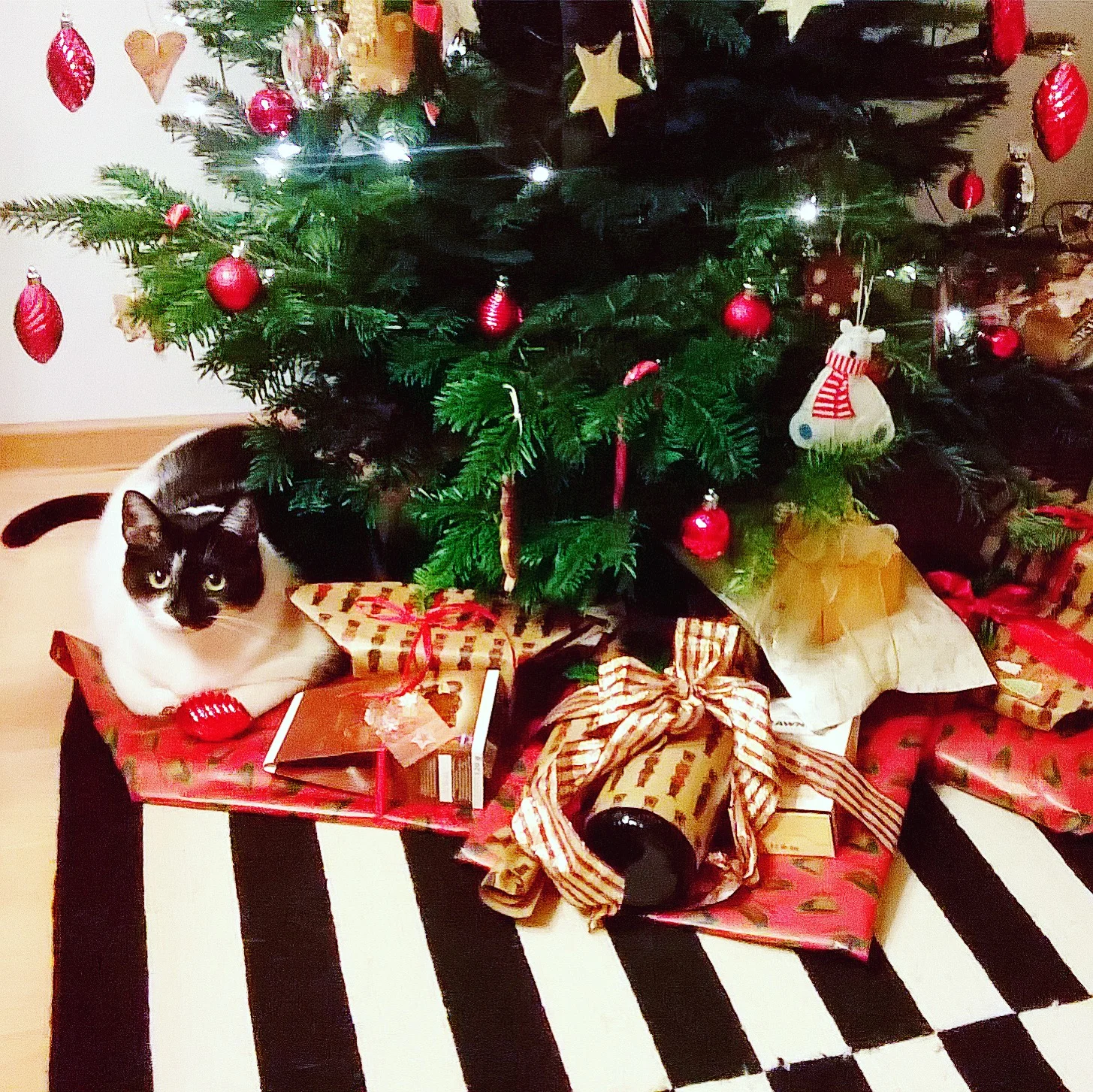 Yoga & Christmas