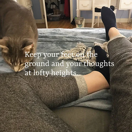 4.26.jpg