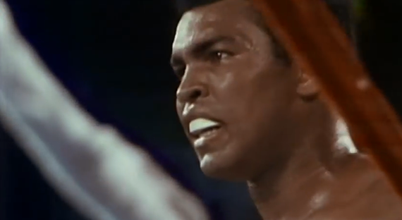Screen-Shot-2014-11-17-at-11.49.08.png