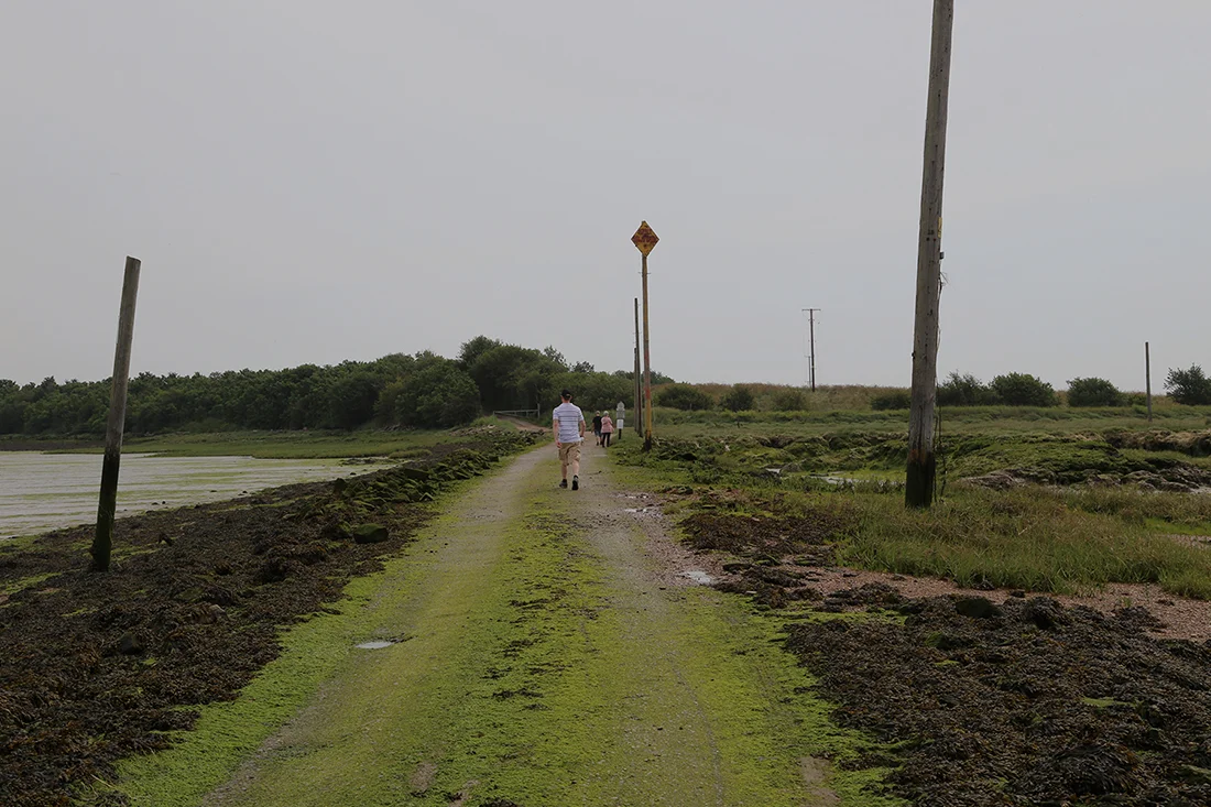 Tidal Islands