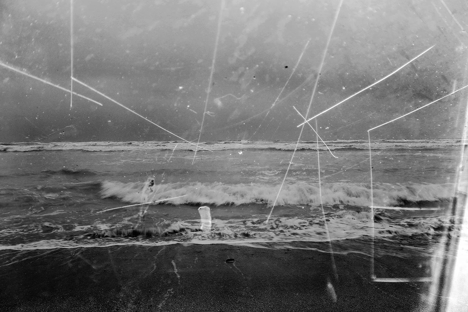 Sea Level 02_Mandy Williams.jpg