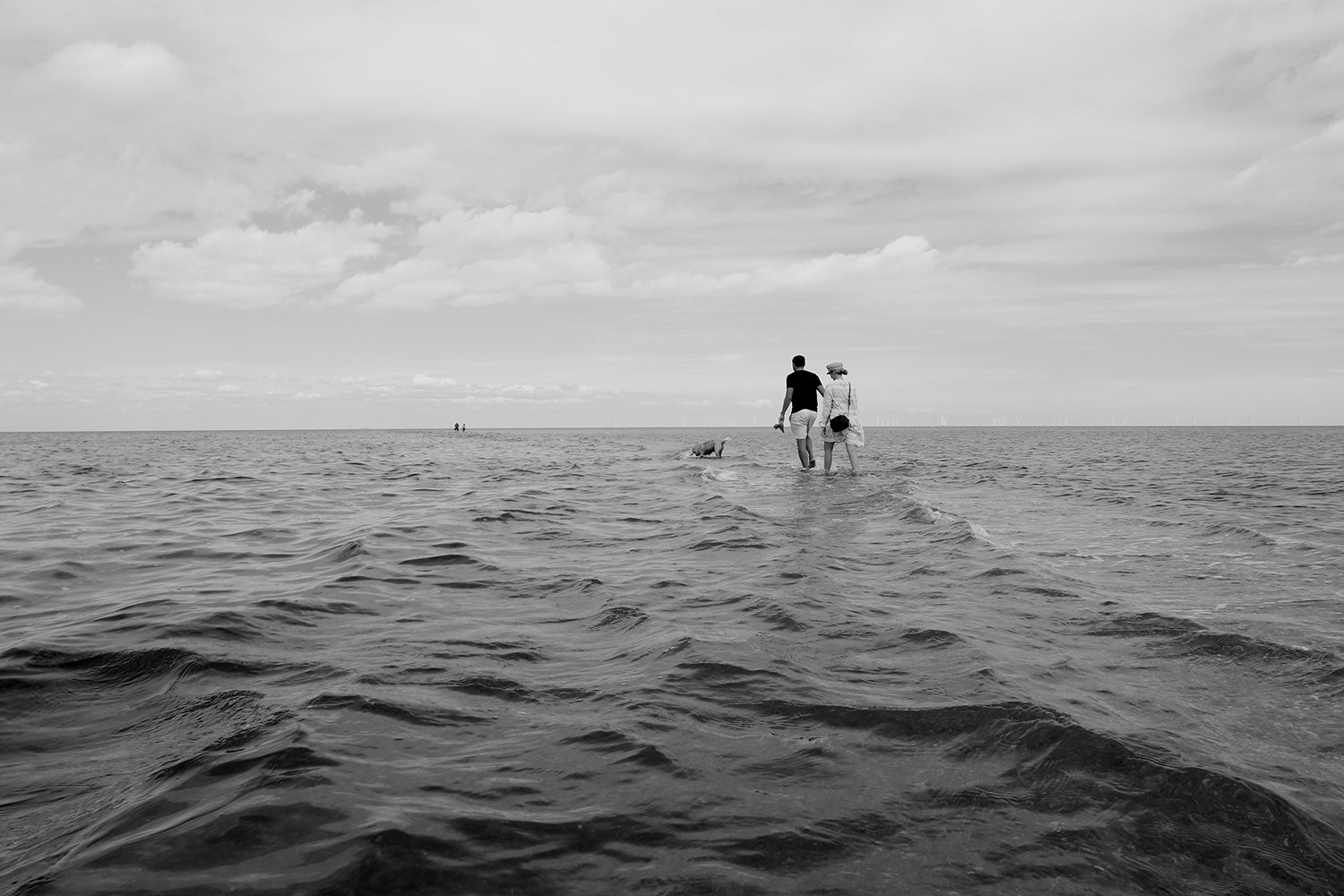 Beyond Land 26