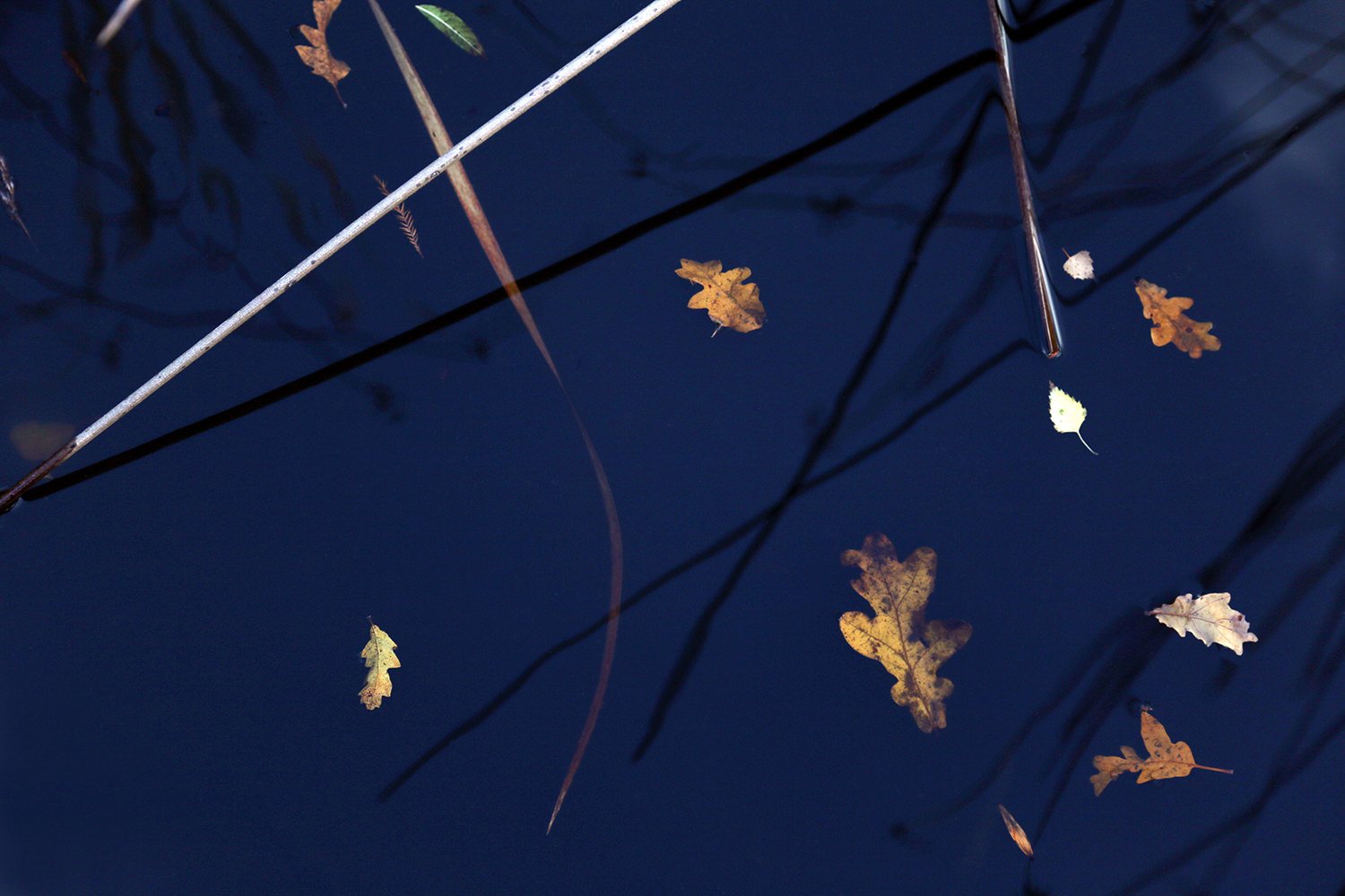 River stories