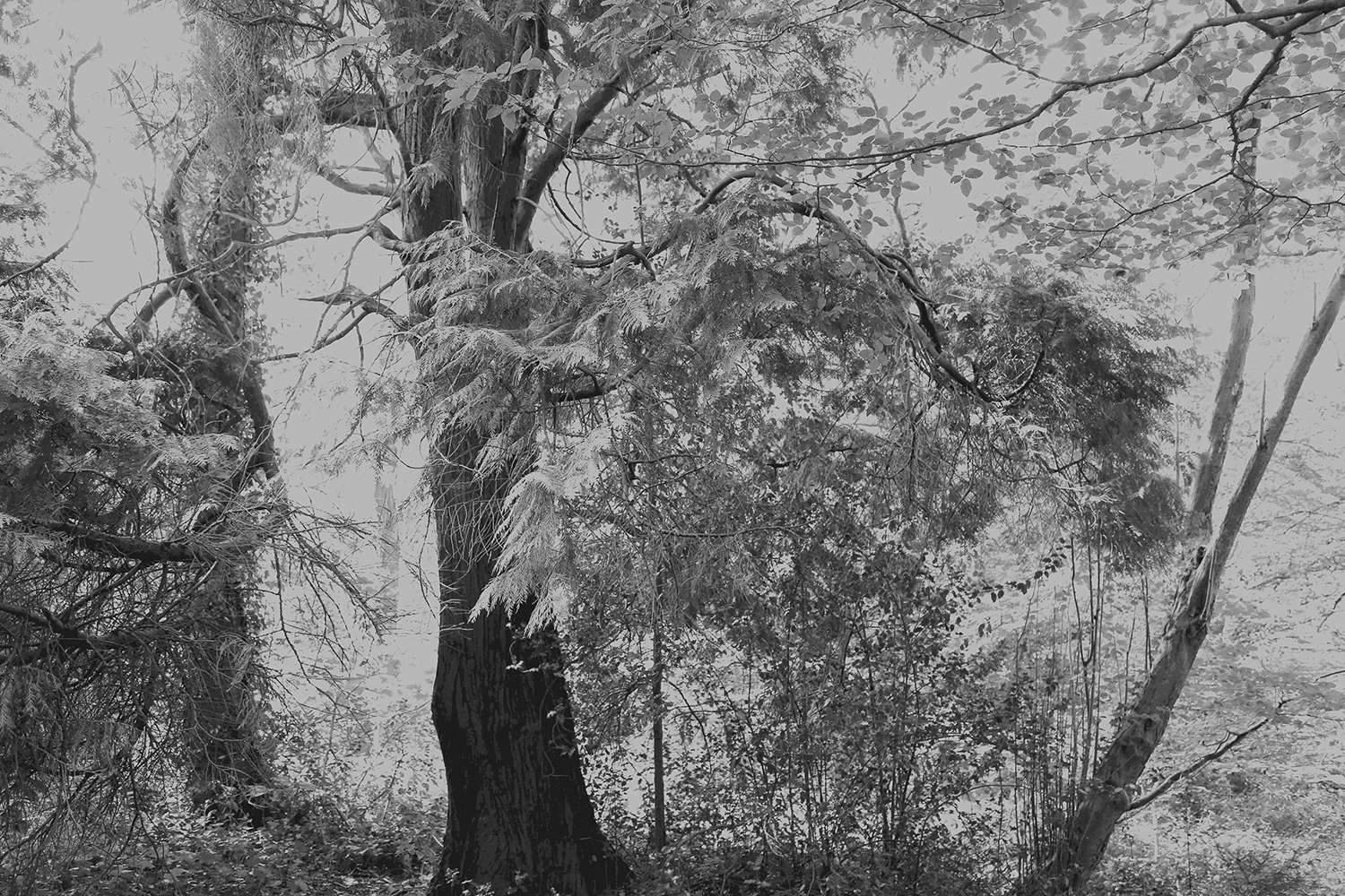 Otherworld