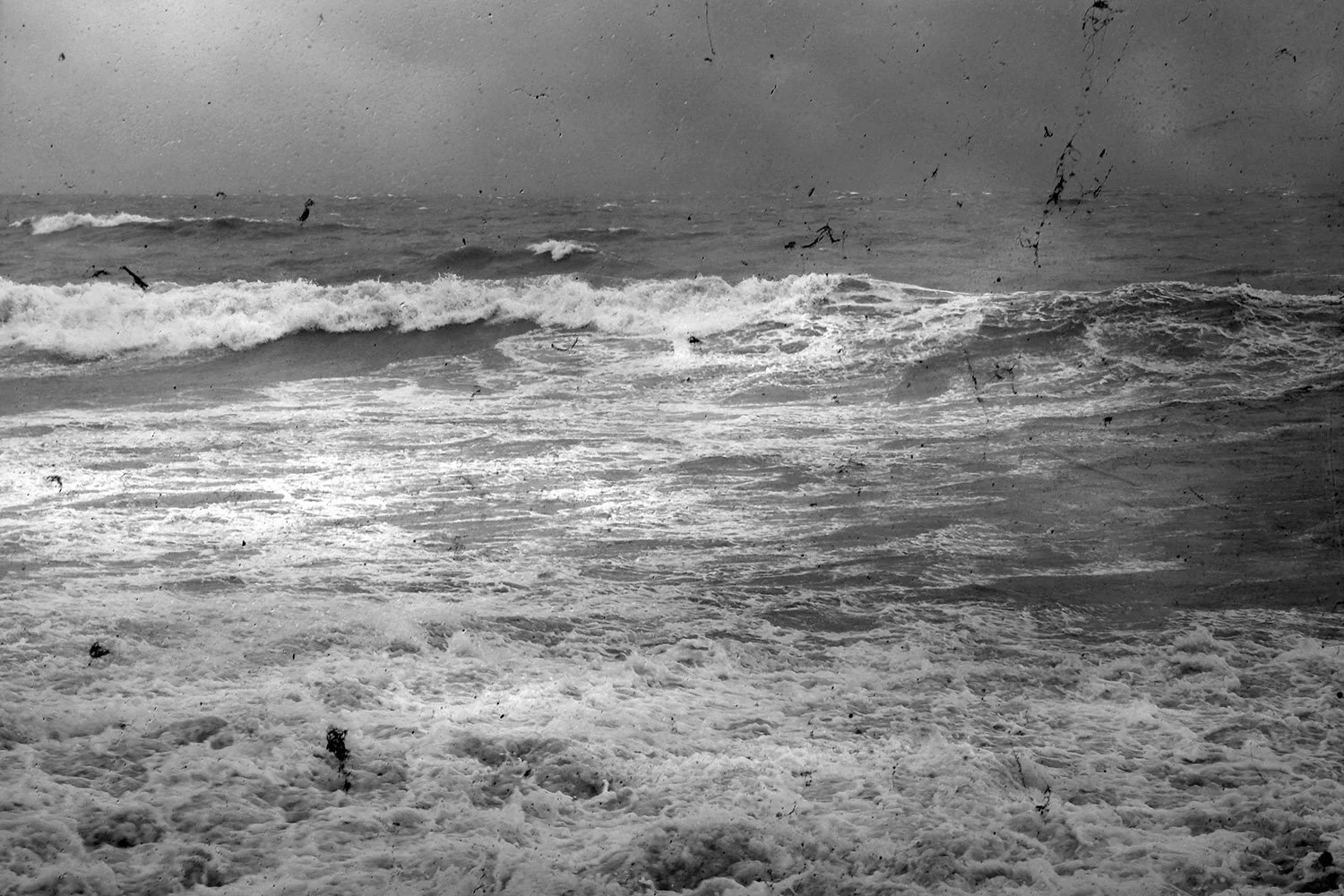 Sea Level 35_Mandy Williams.jpg