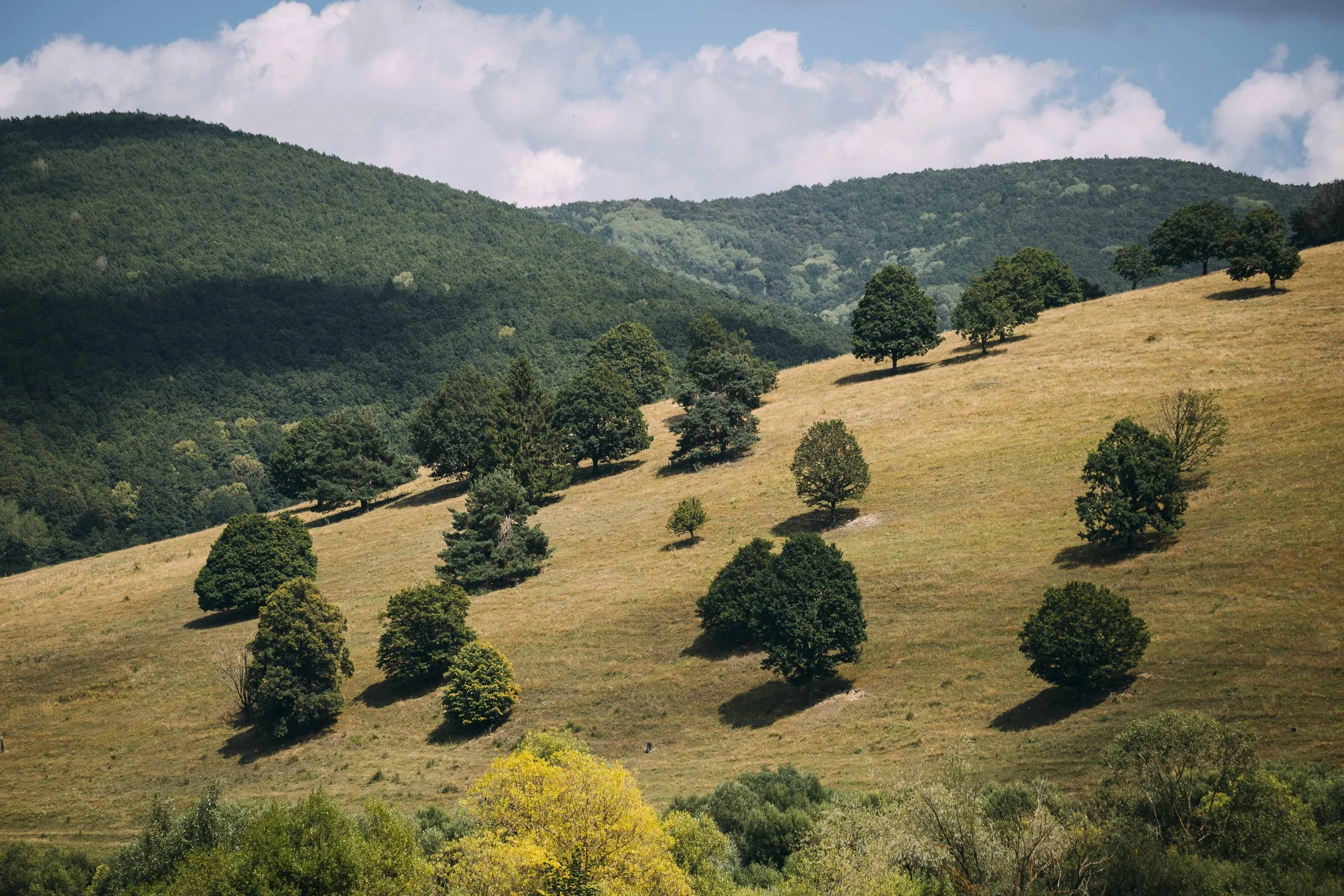 szekely_kor_2_day_112.jpg