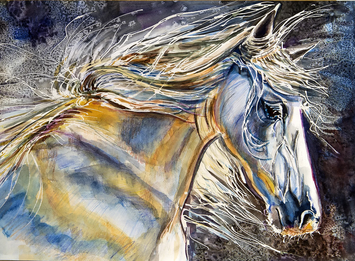 Wildness