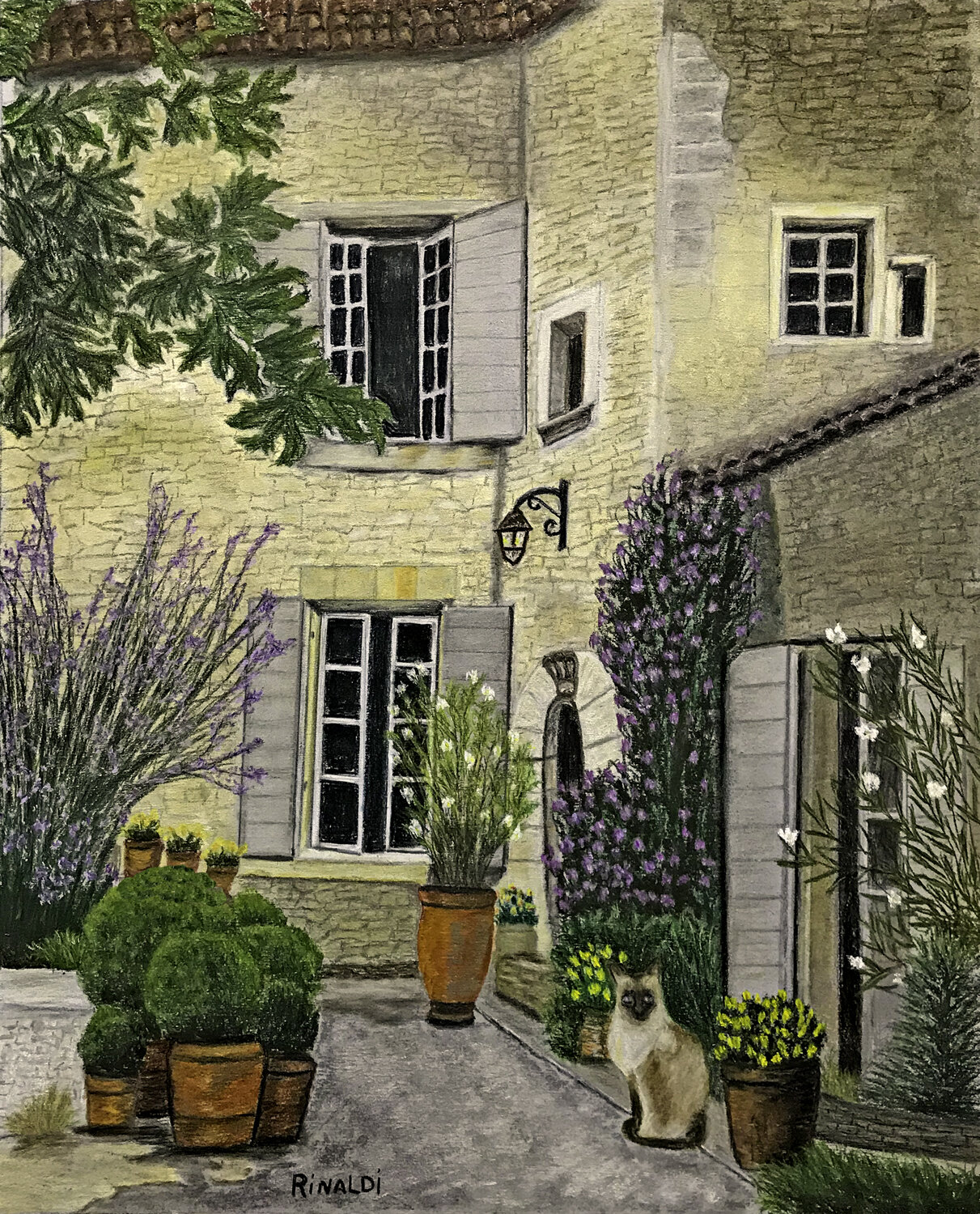"Cat in the Courtyard"