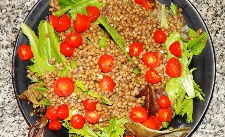 SmPuyLentilSalad.jpg
