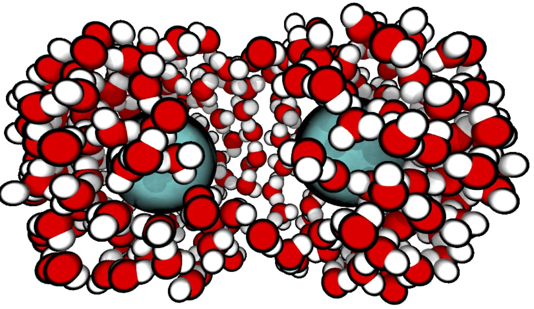 Short Solvent Model