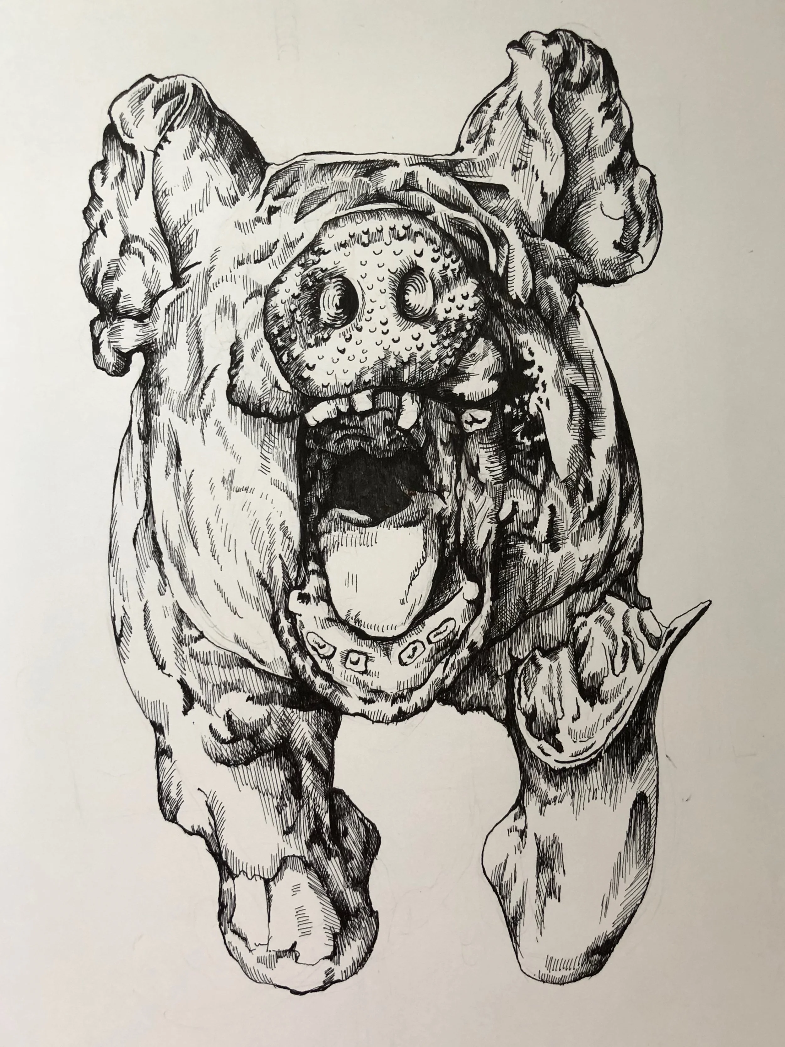 FullSizeRender 2.jpeg