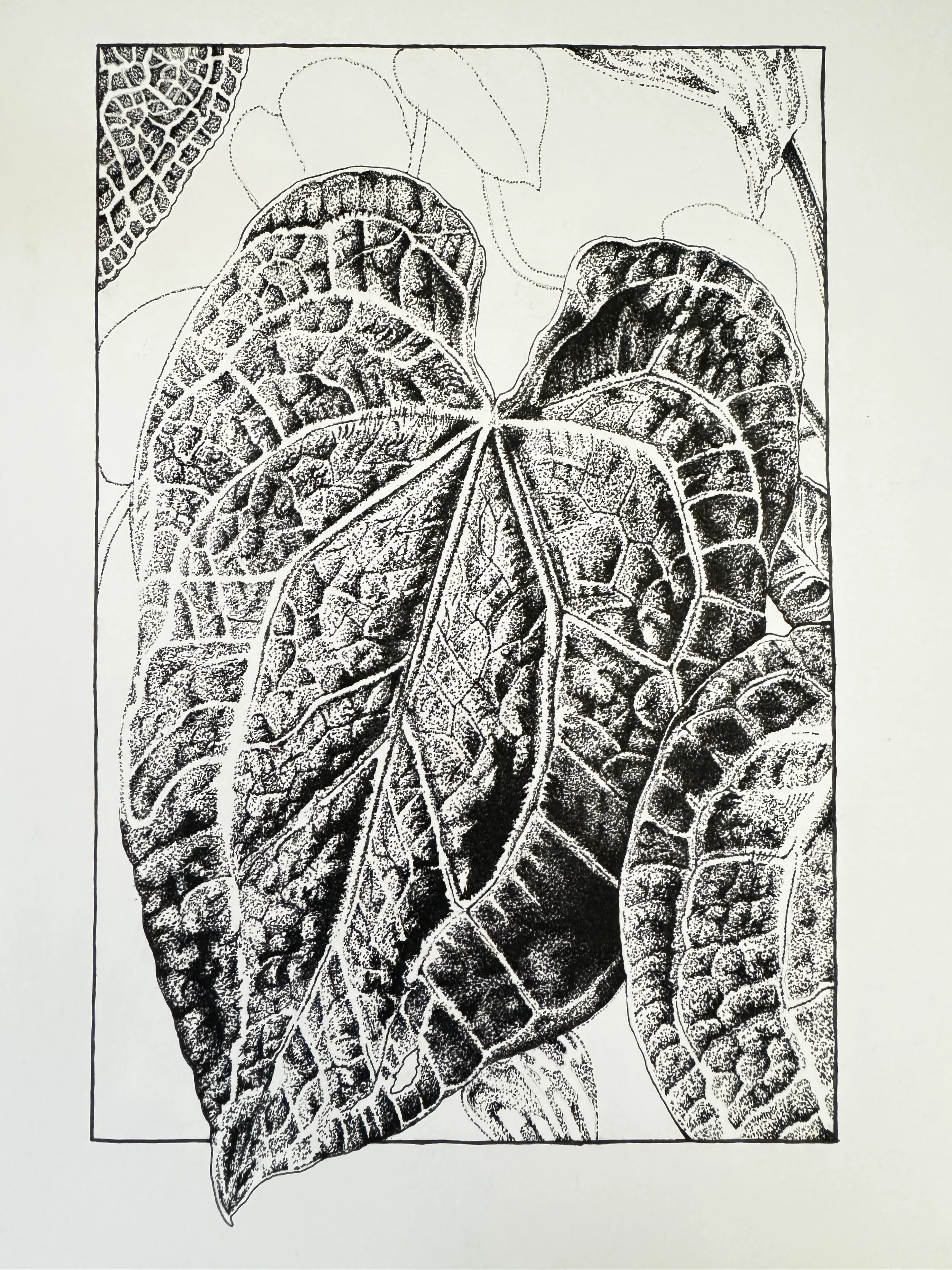Plant .jpg