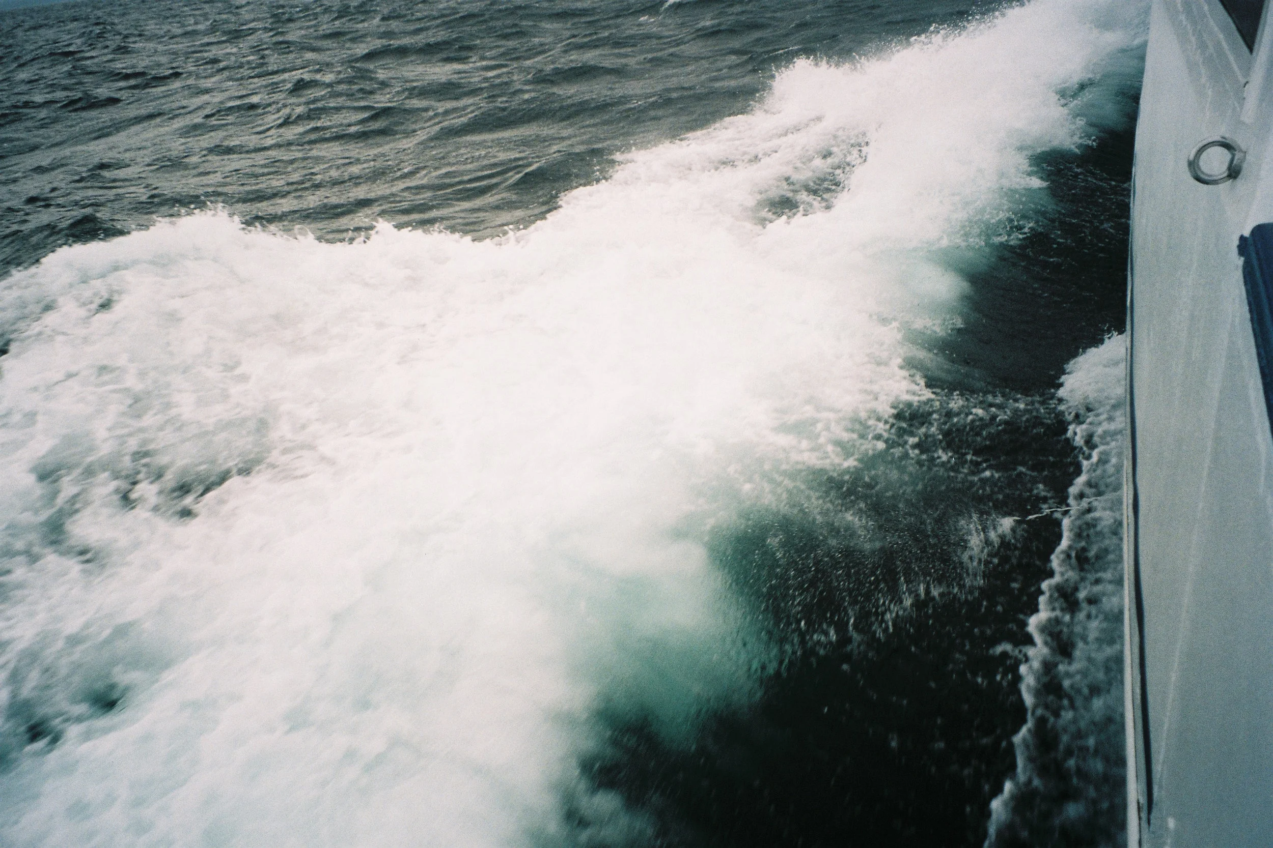 F1120002.jpg