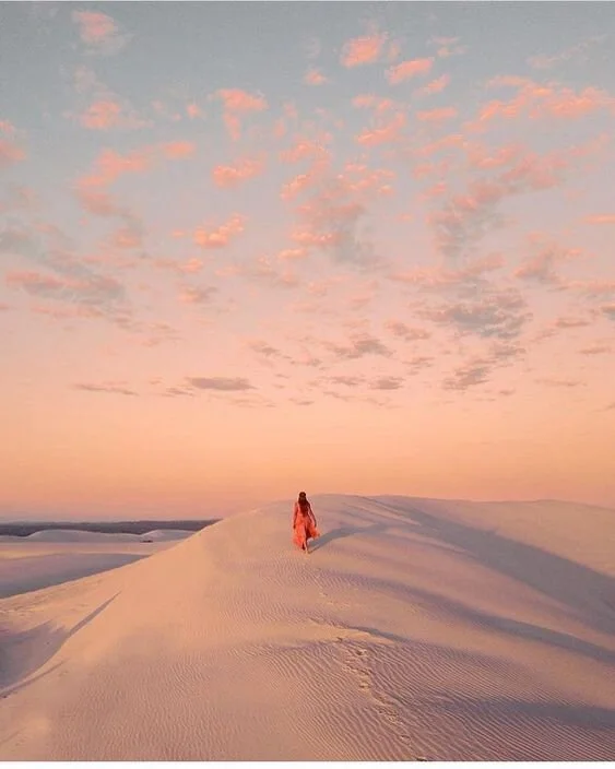 NEW MOON IN LEO 8.8.2021 LION'S GATE