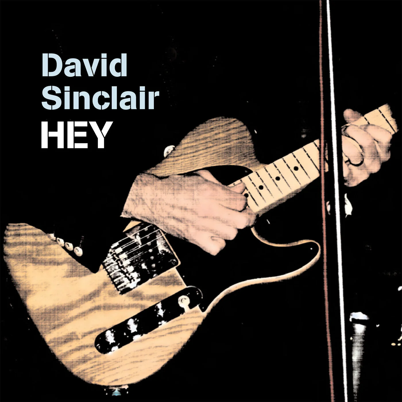 HEY [CD]                                               [CDISCS001]