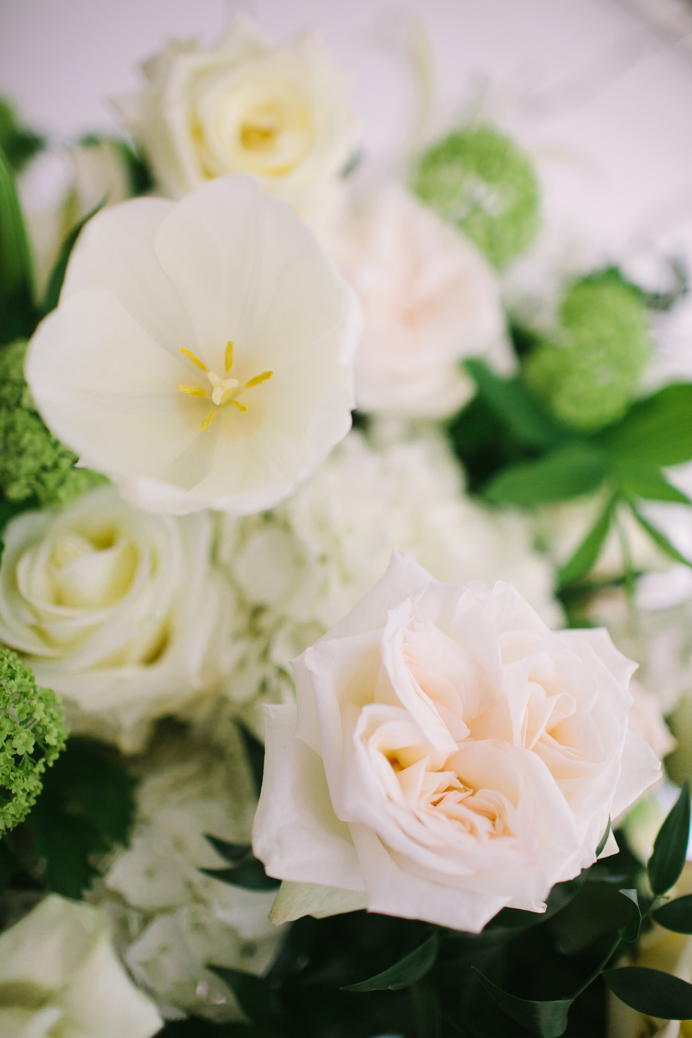 14f28-img.jpg