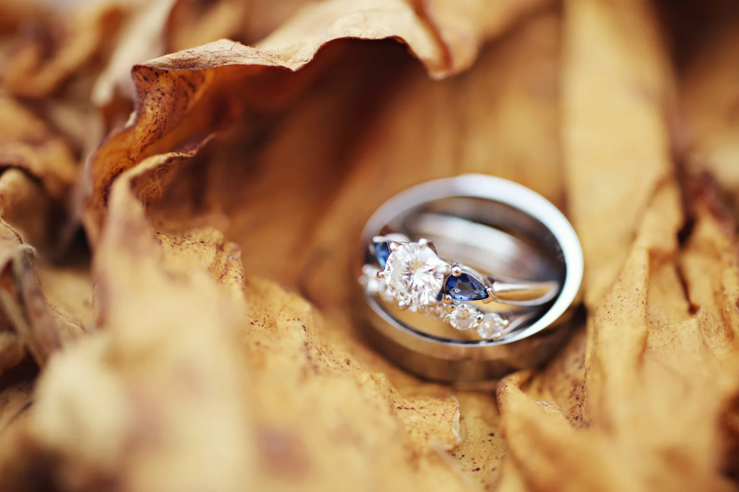 Gather-Together-Events-Wedding-Planning00007.jpg