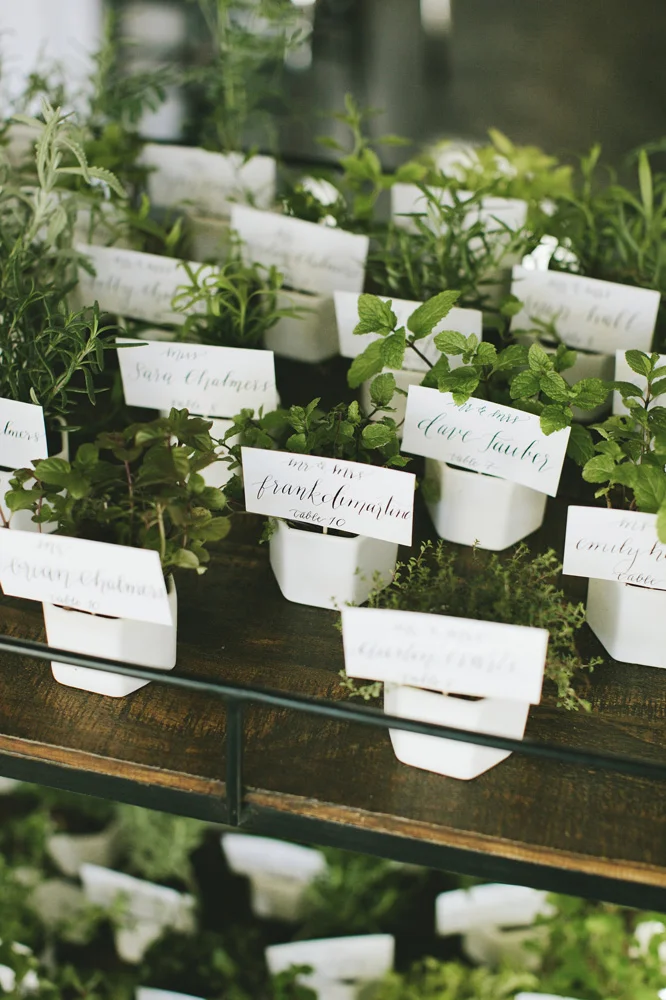 Gather-Together-Events-Wedding00099.jpg