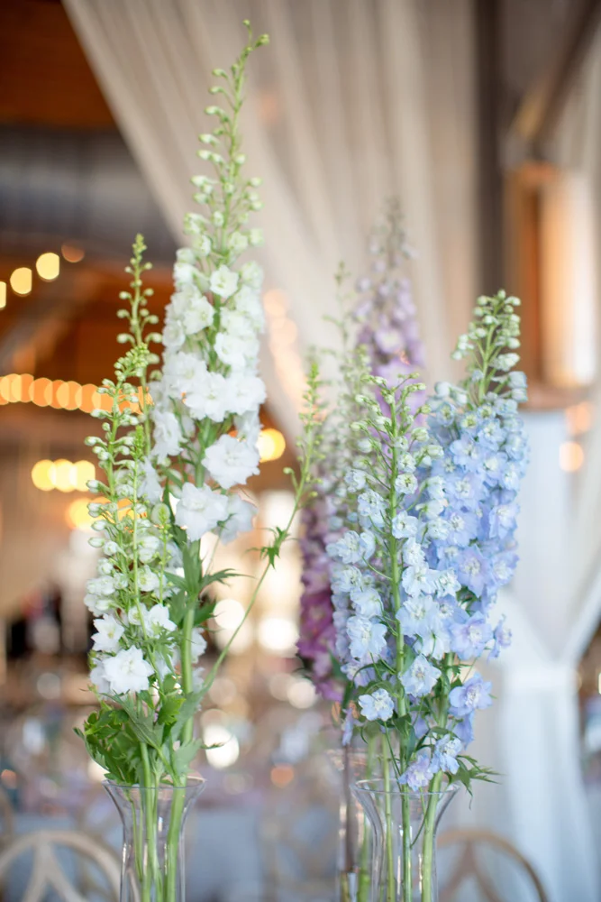 Gather-Together-Events-Wedding00043.jpg