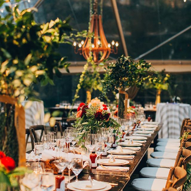 T h a n k f u l 🙌 for our amazing couples and their families, the best of the best event partners, and being in business for LOVE ❤️ this day and always, we give thanks with a grateful heart. Cheers to you and yours, from me and mine (including thes