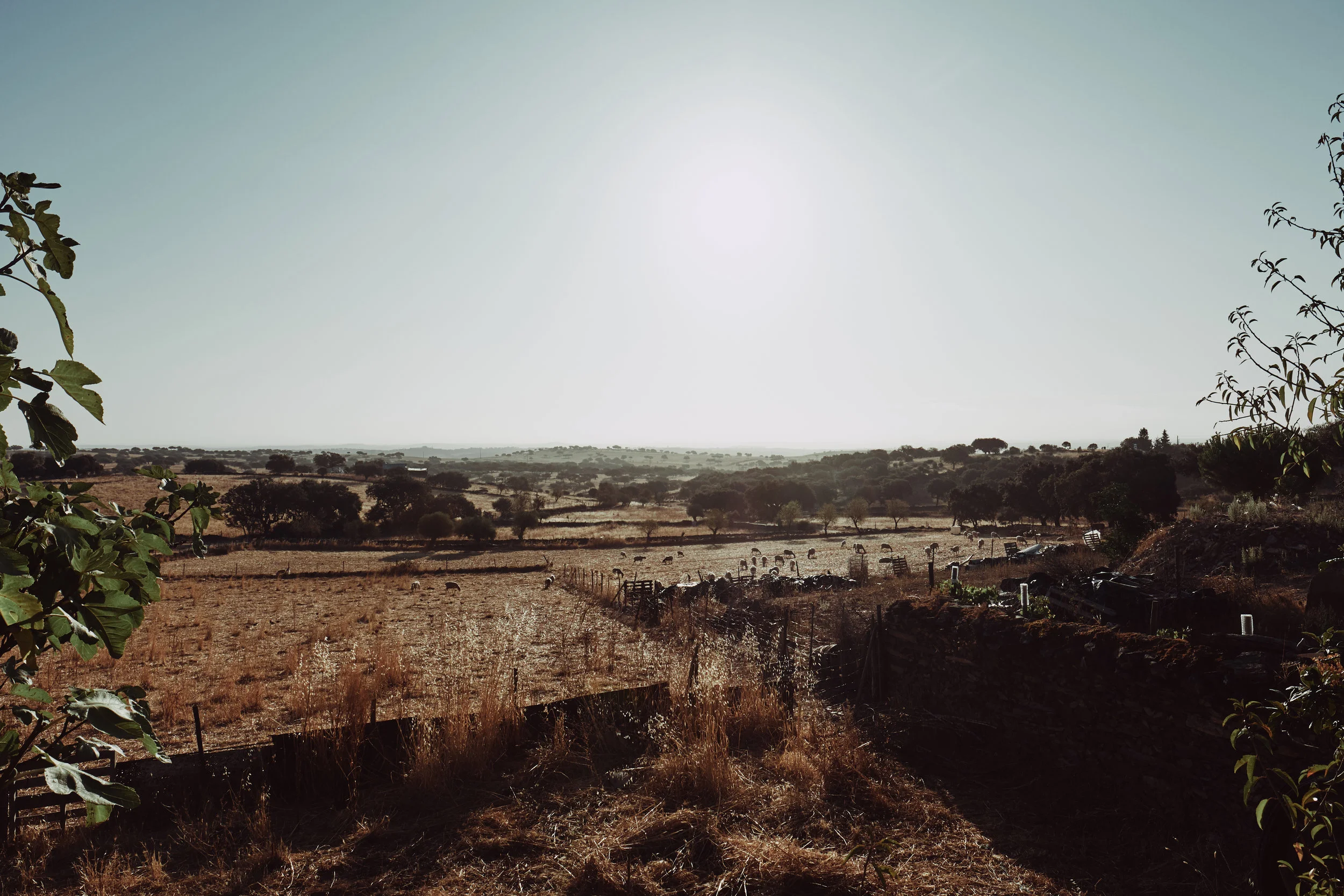 DSCF6416.jpg