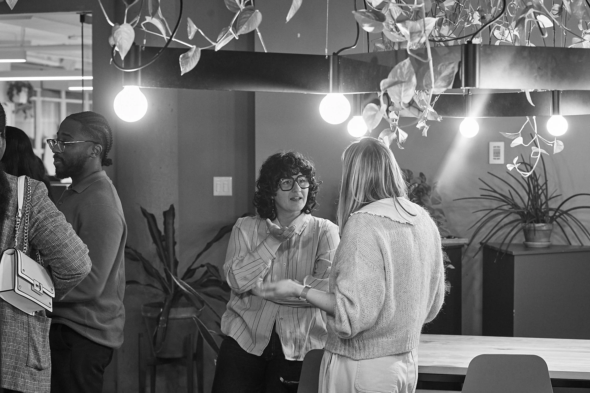 0092 - 2026 - alcove - Alexander.jpg