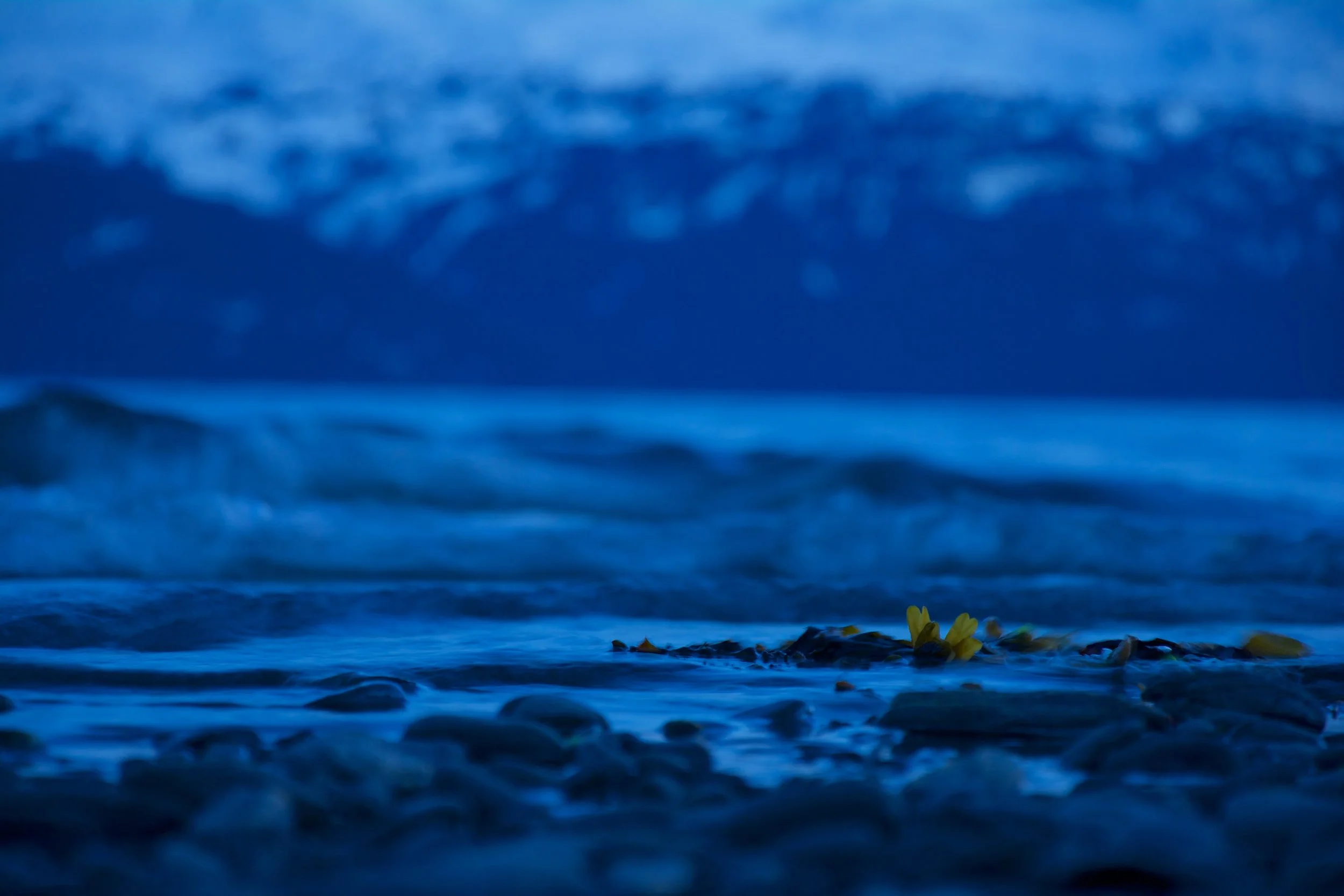midnightsun 10.jpg