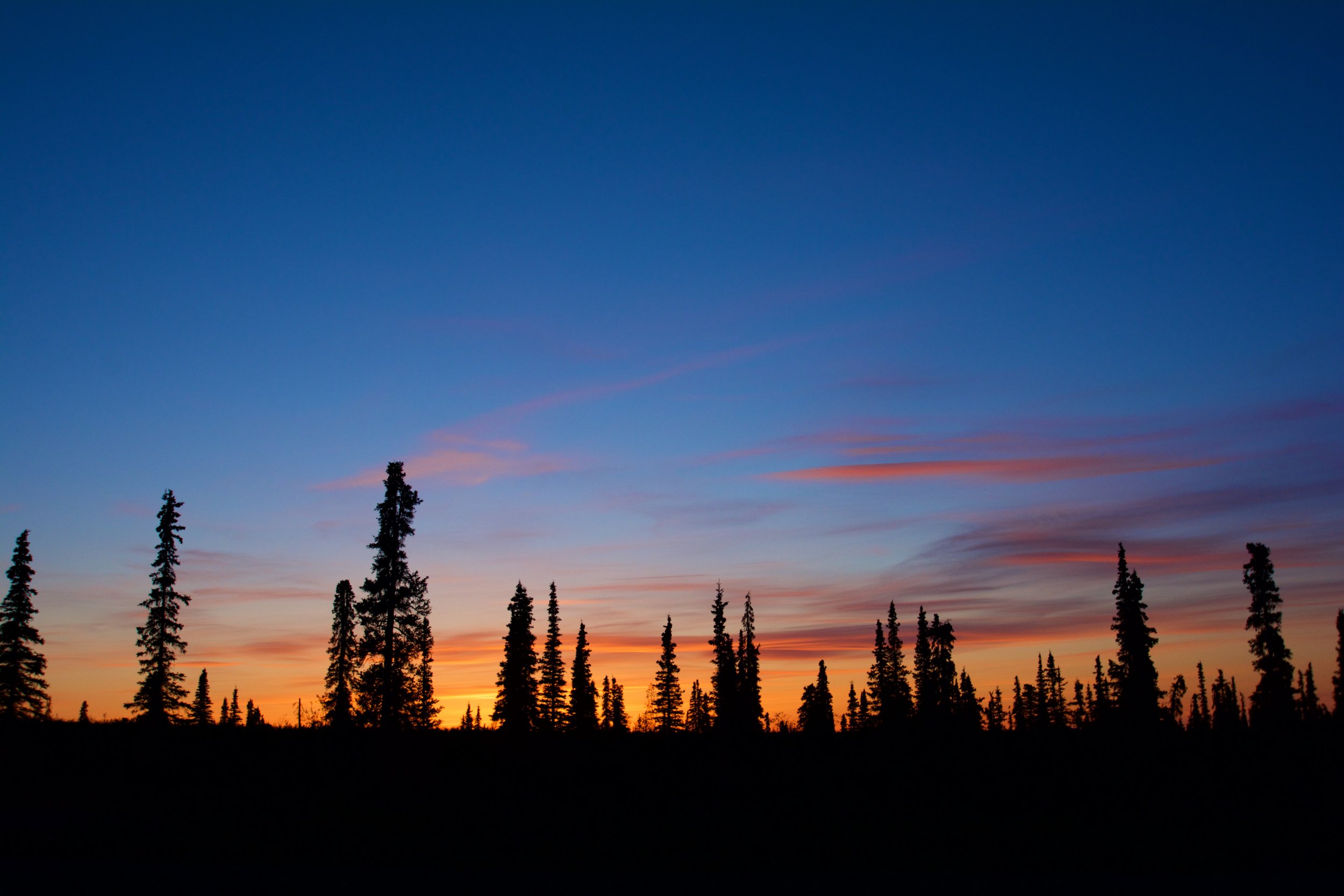 DSC_5690.jpg