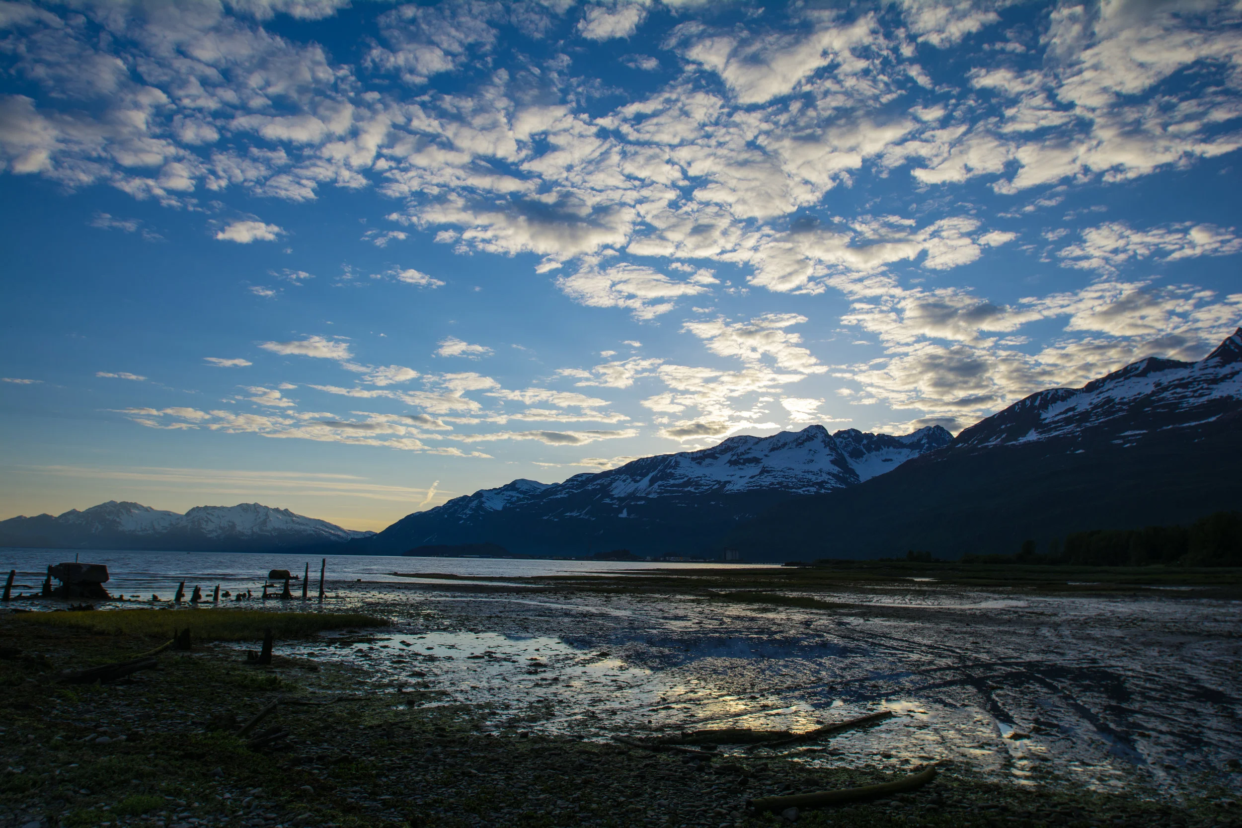 DSC_1567.jpg