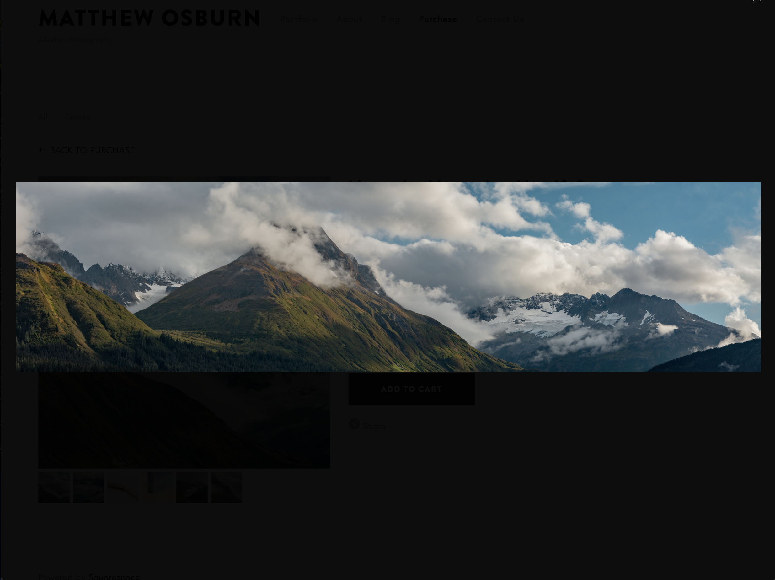 Screen Shot 2019-05-21 at 11.10.38 AM.png