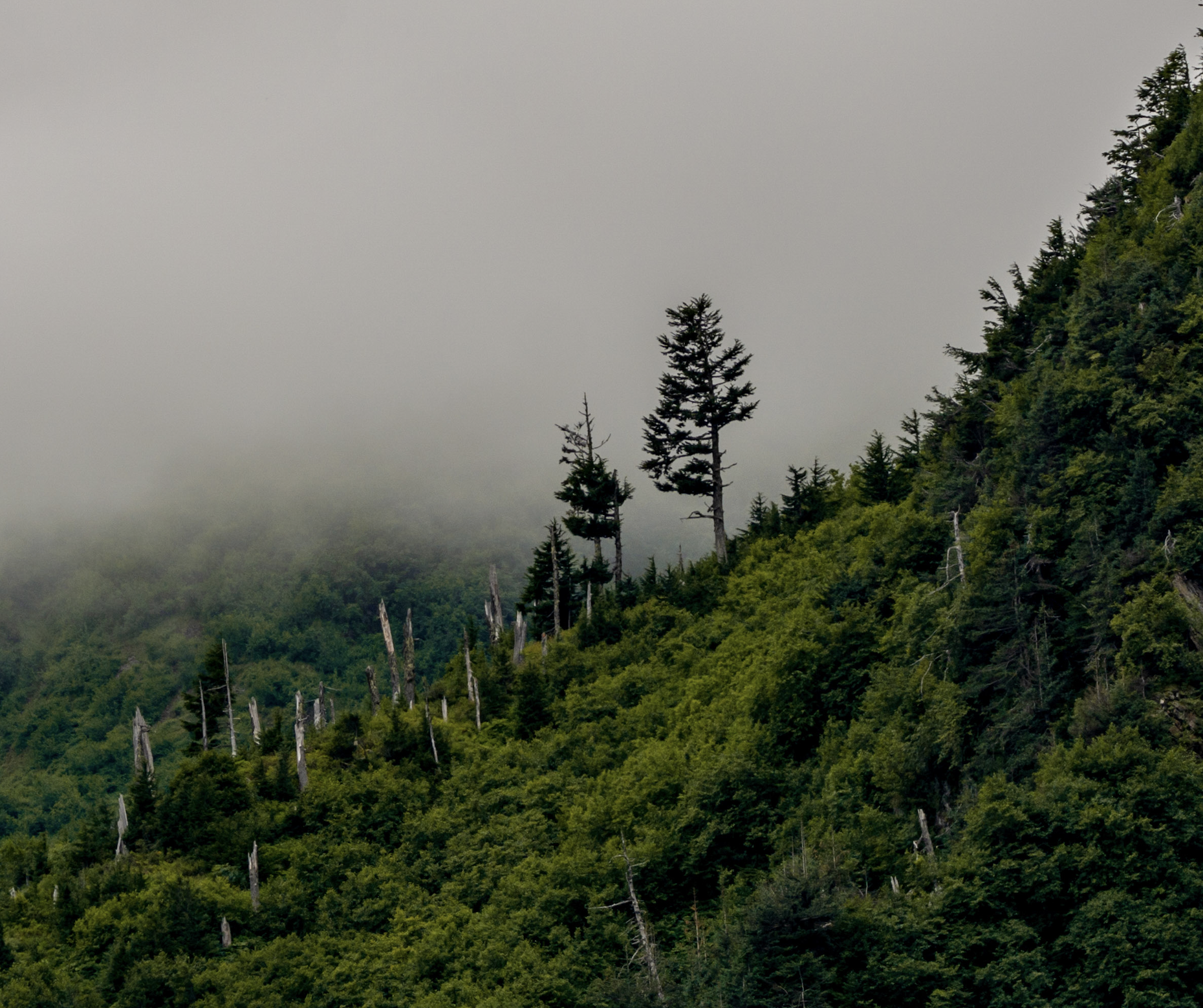 Screen Shot 2019-06-03 at 10.01.59 AM.png