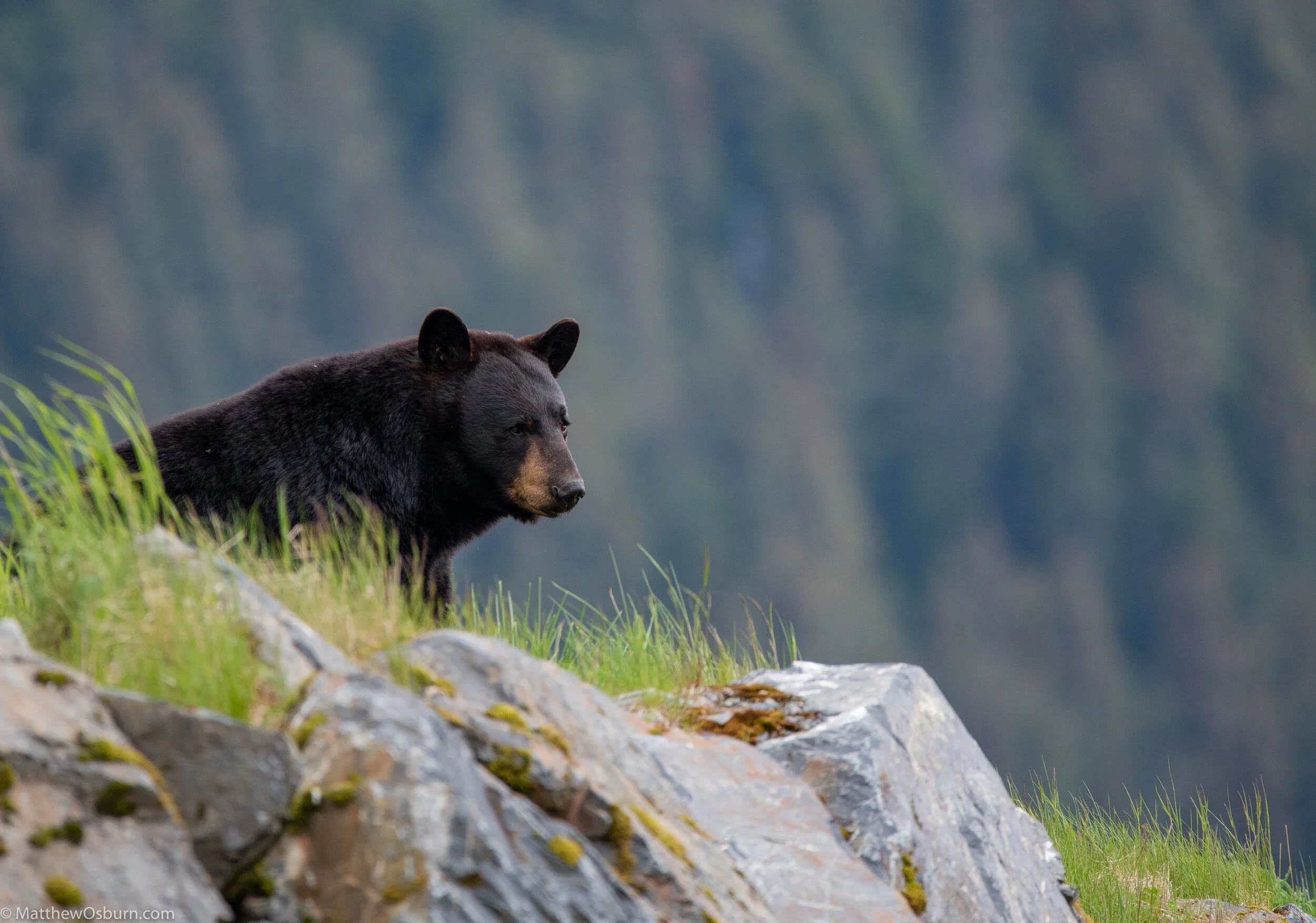 _DSC3650.jpg