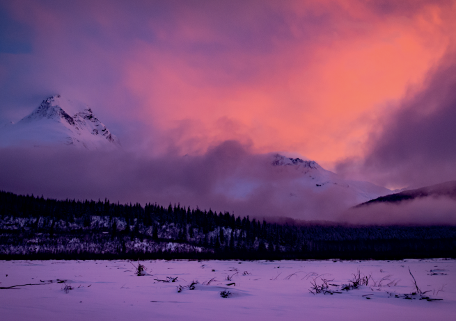 Screen Shot 2021-06-22 at 5.21.57 PM.png