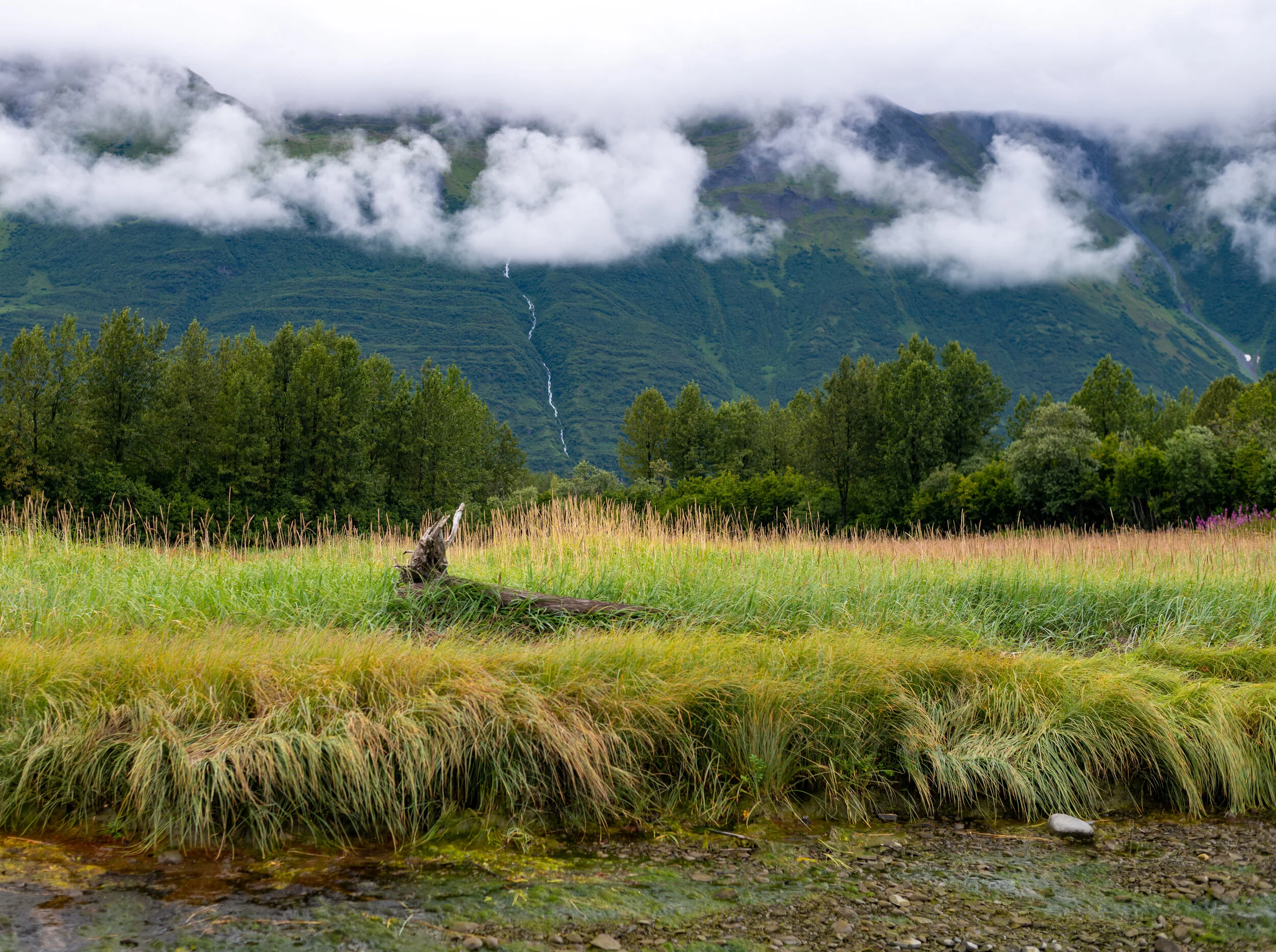 Old Town Valdez-3.jpg