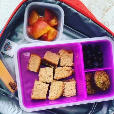 Snacks and lunch packed for daycare: 1/2 peanut butter and jelly sandwich, blueberries, oat and spinach muffin, string cheese and nectarine slices.