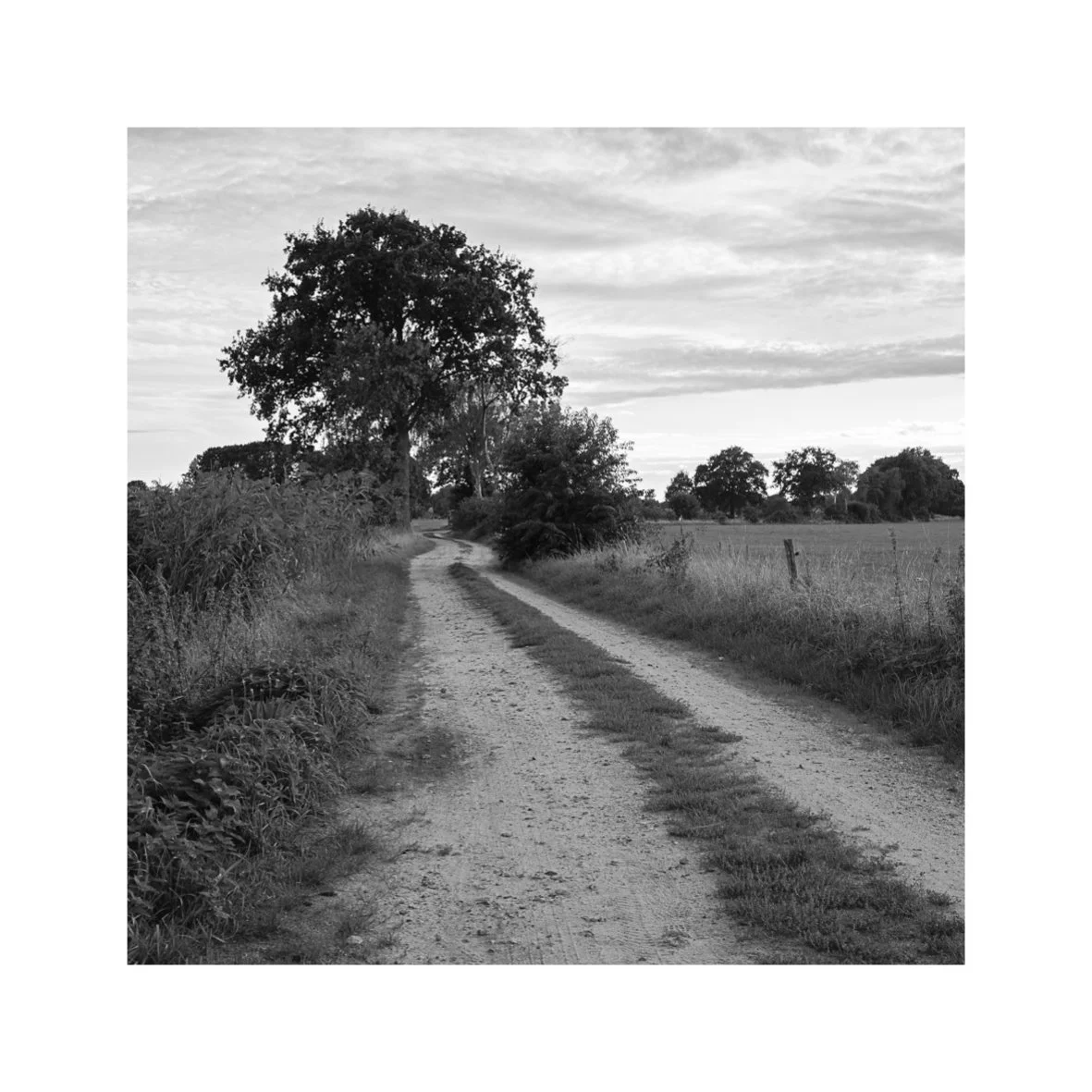 13-miles-web-2-01.jpg