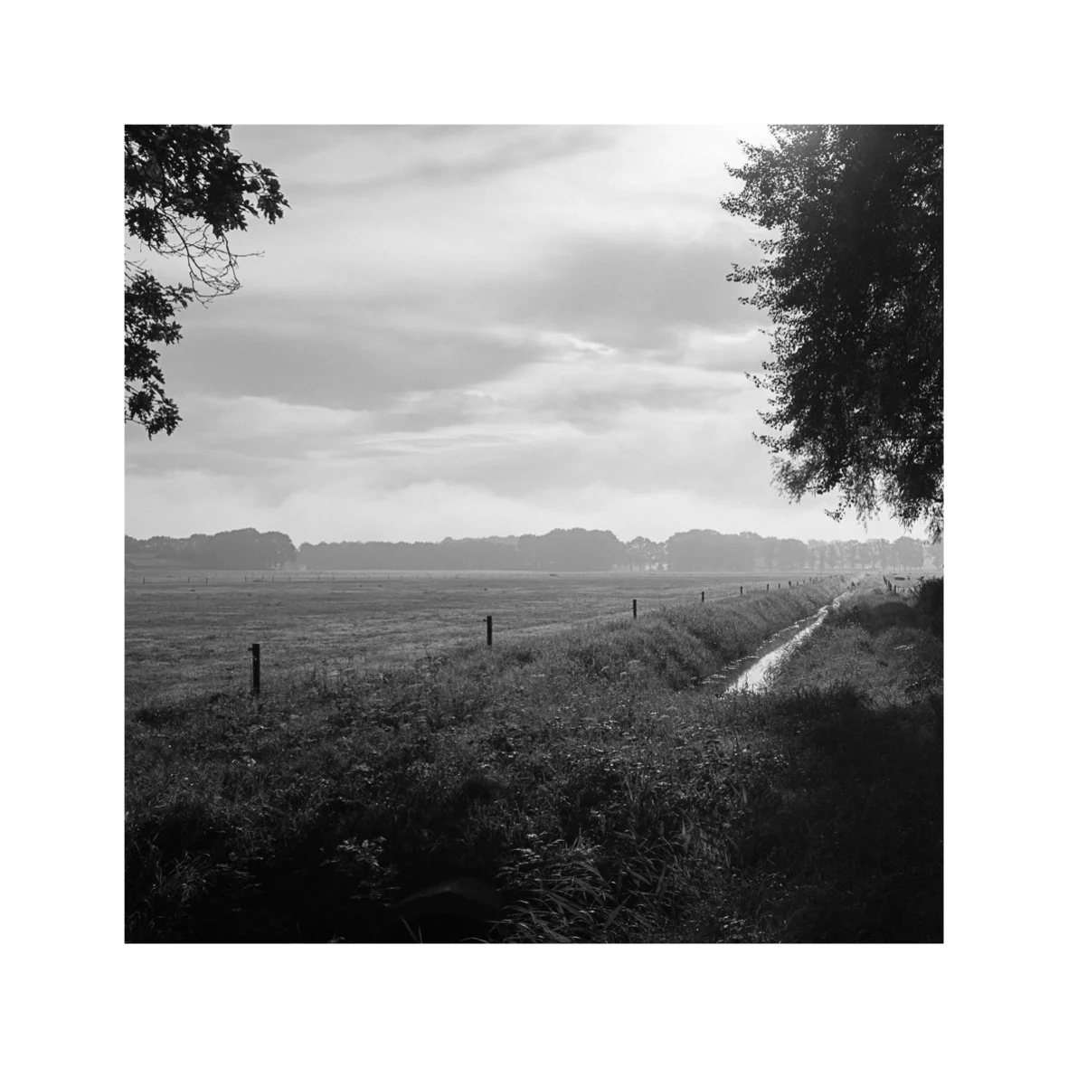 13-miles-web-2-13.jpg