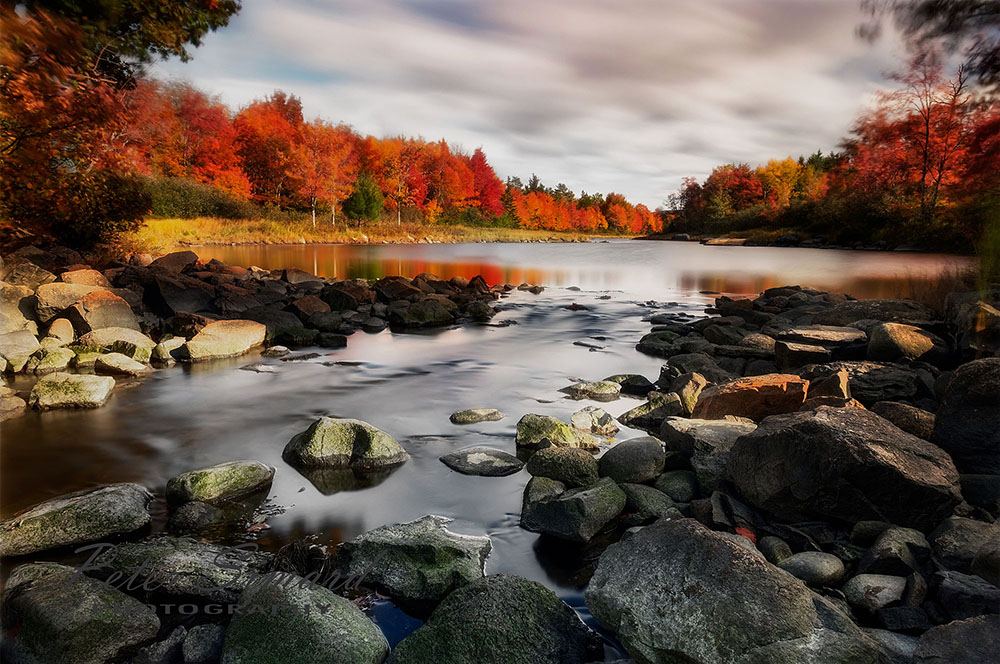 foliage-water.jpg