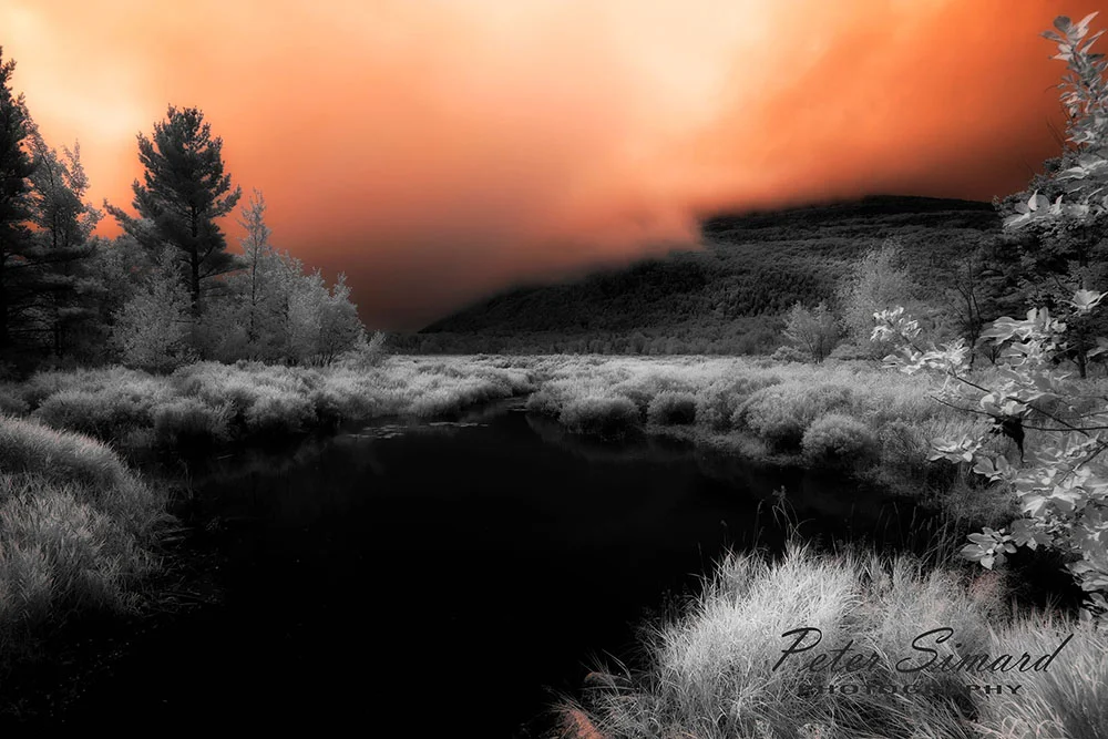 IR-morning-fog.jpg