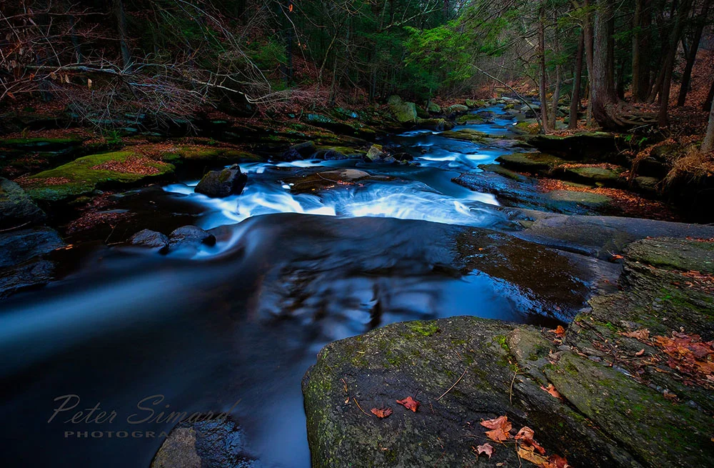Fall in Motion