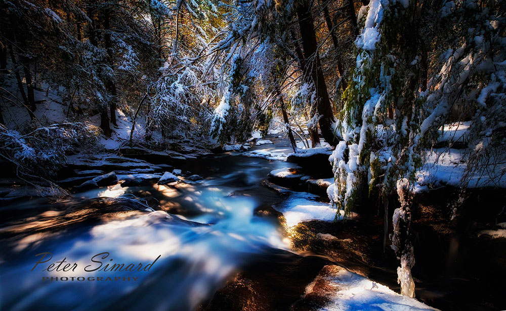 A calming location after fresh snow fall