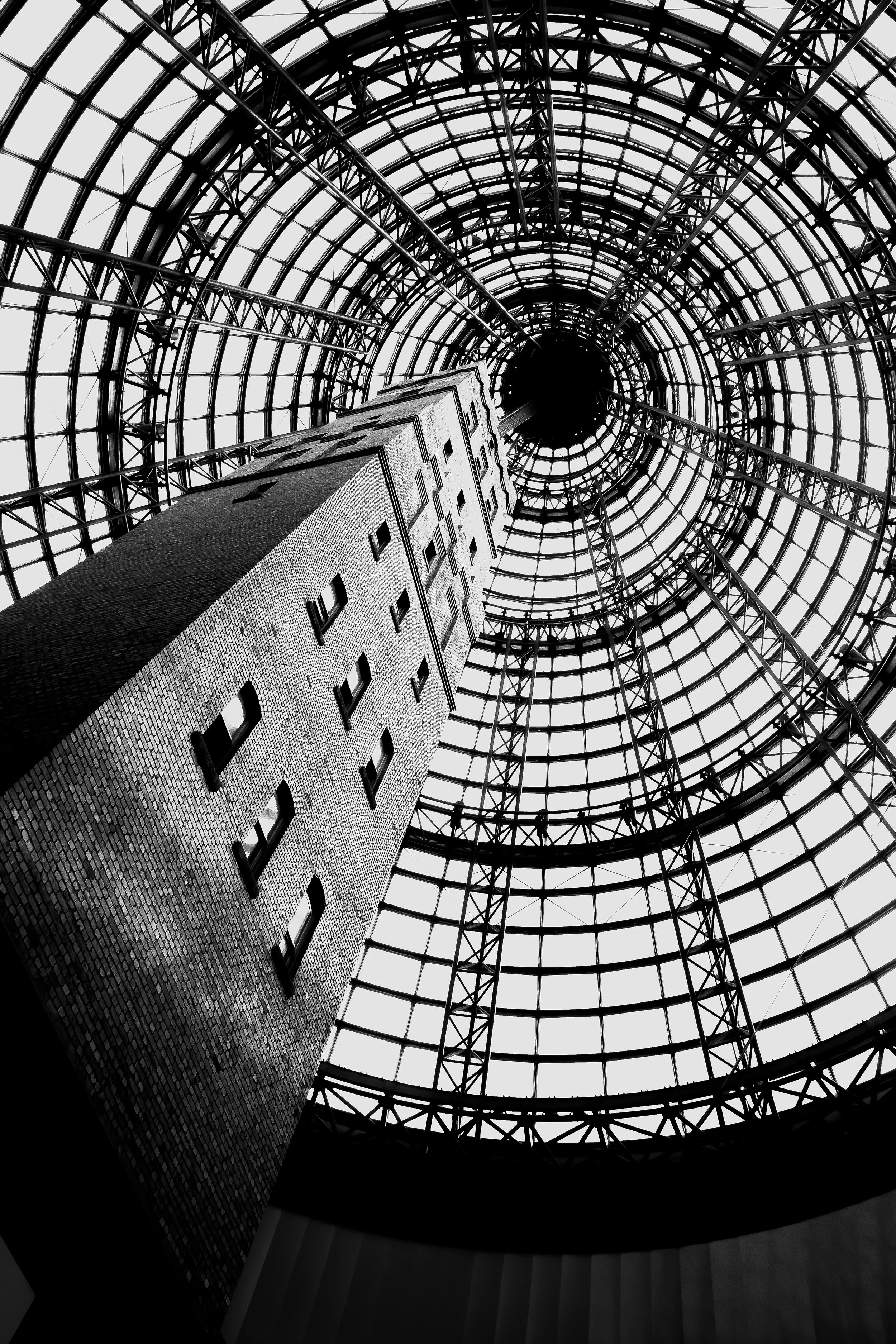 Travel 3 B_W.jpg