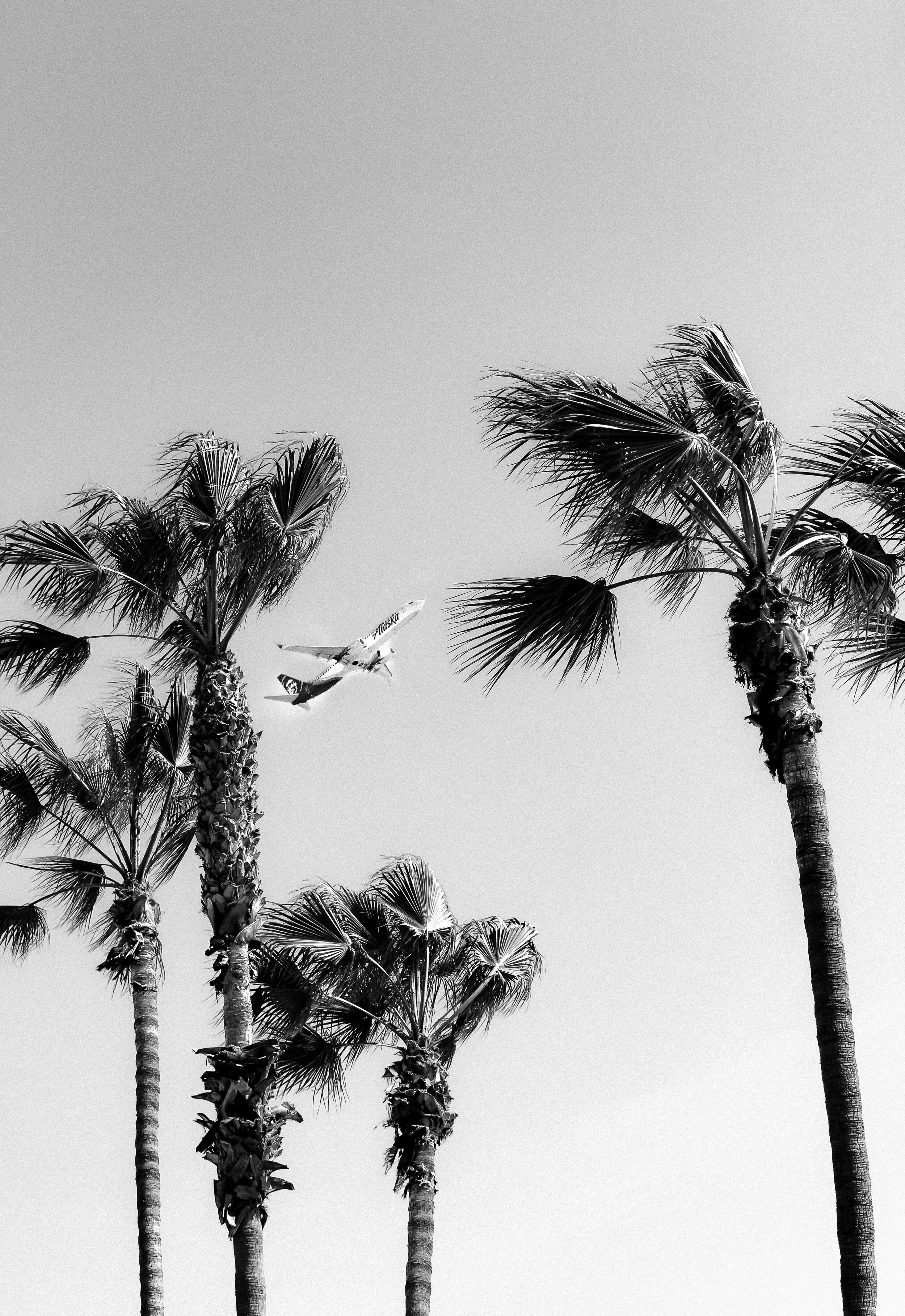 Travel 4 B_W.jpg