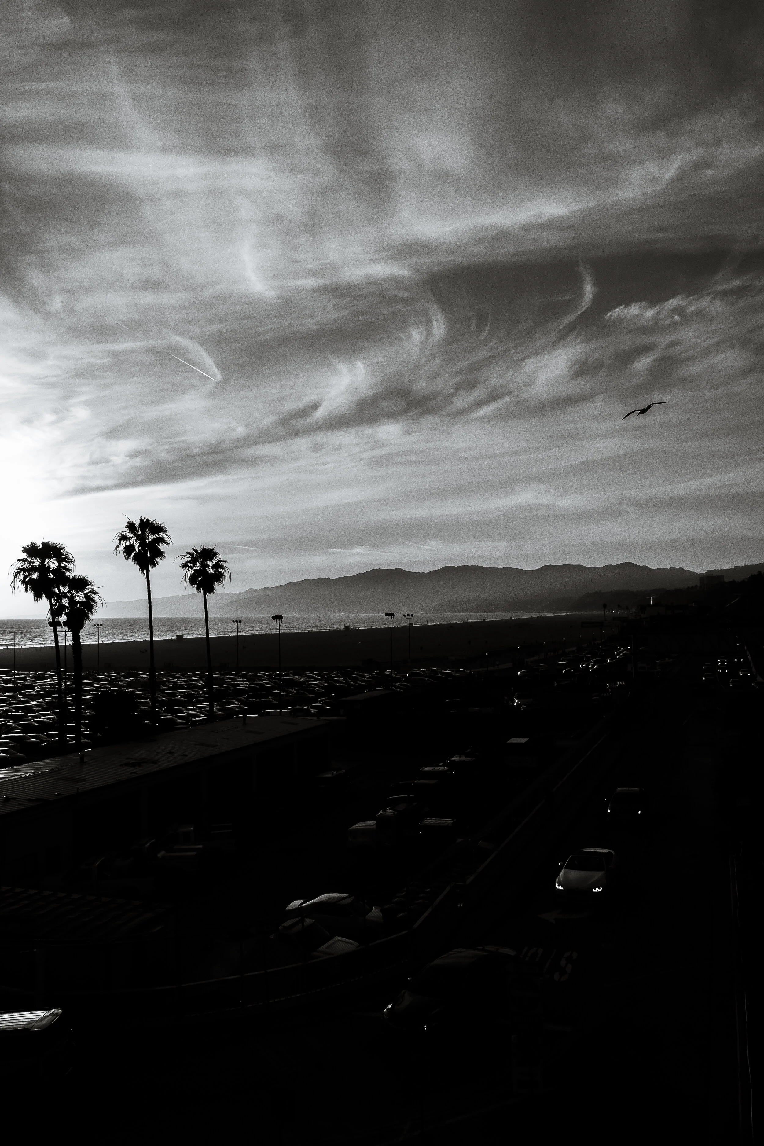 Travel 7 B_W.jpg