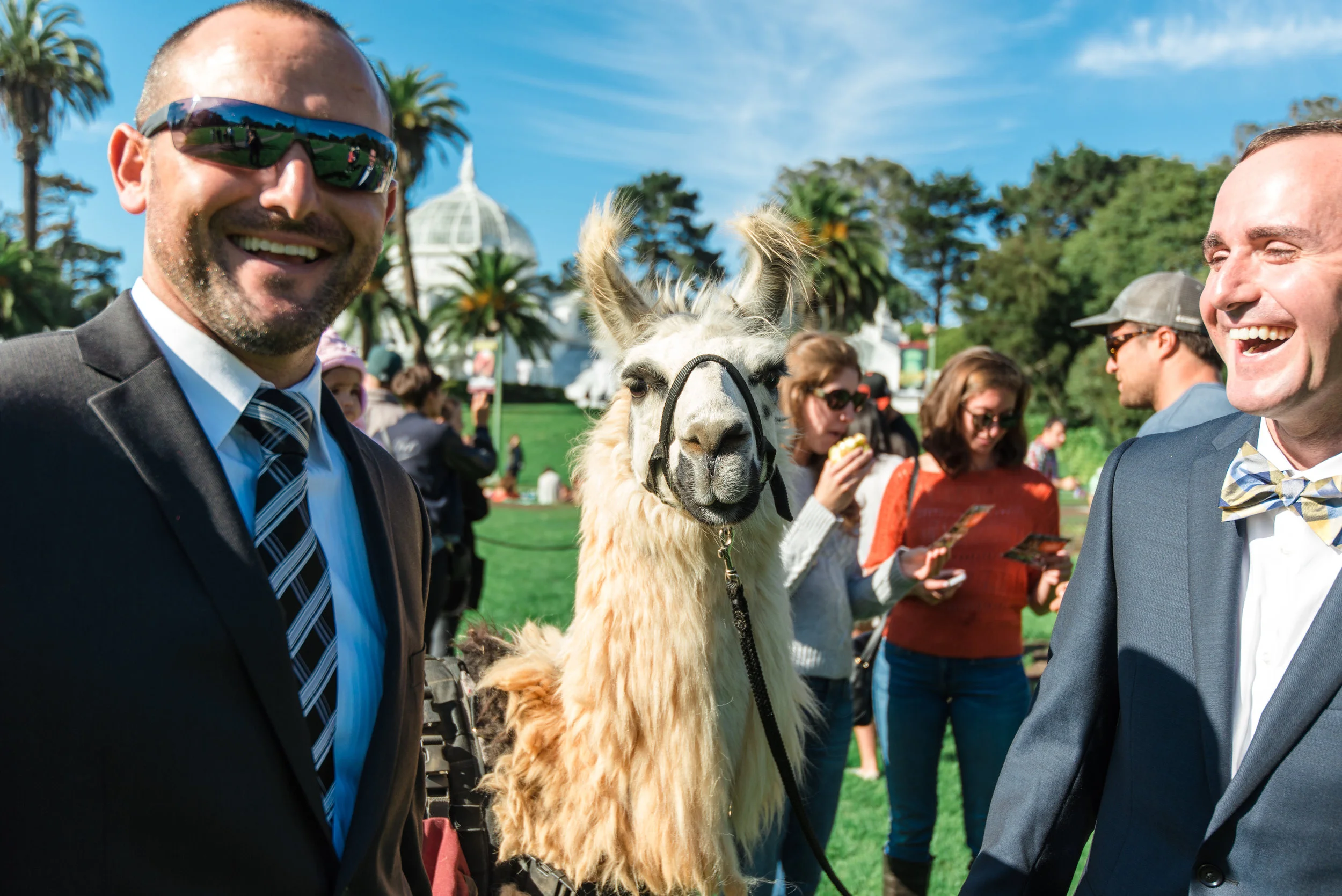 matt+nick-wedding-preview-21.jpg