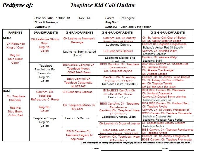 Colts Pedigree.JPG