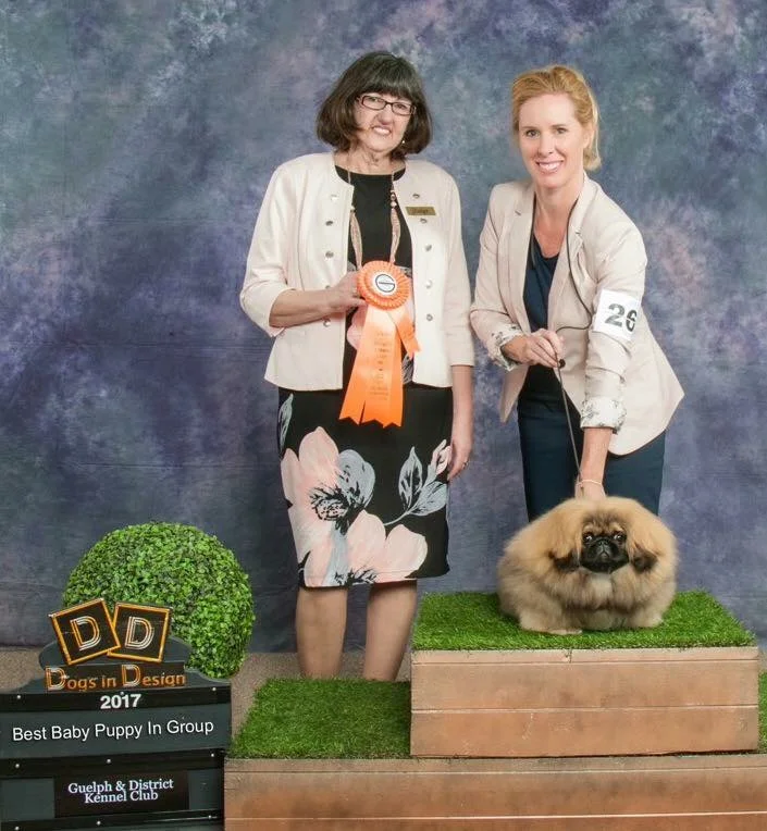 CooDee Foo Fear The Beard