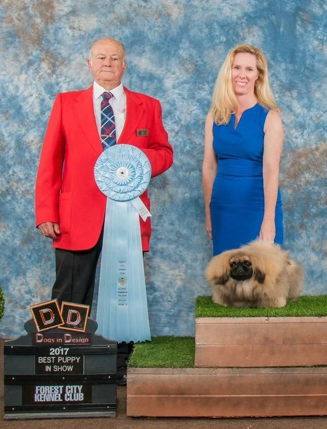 CooDee Foo Fear The Beard