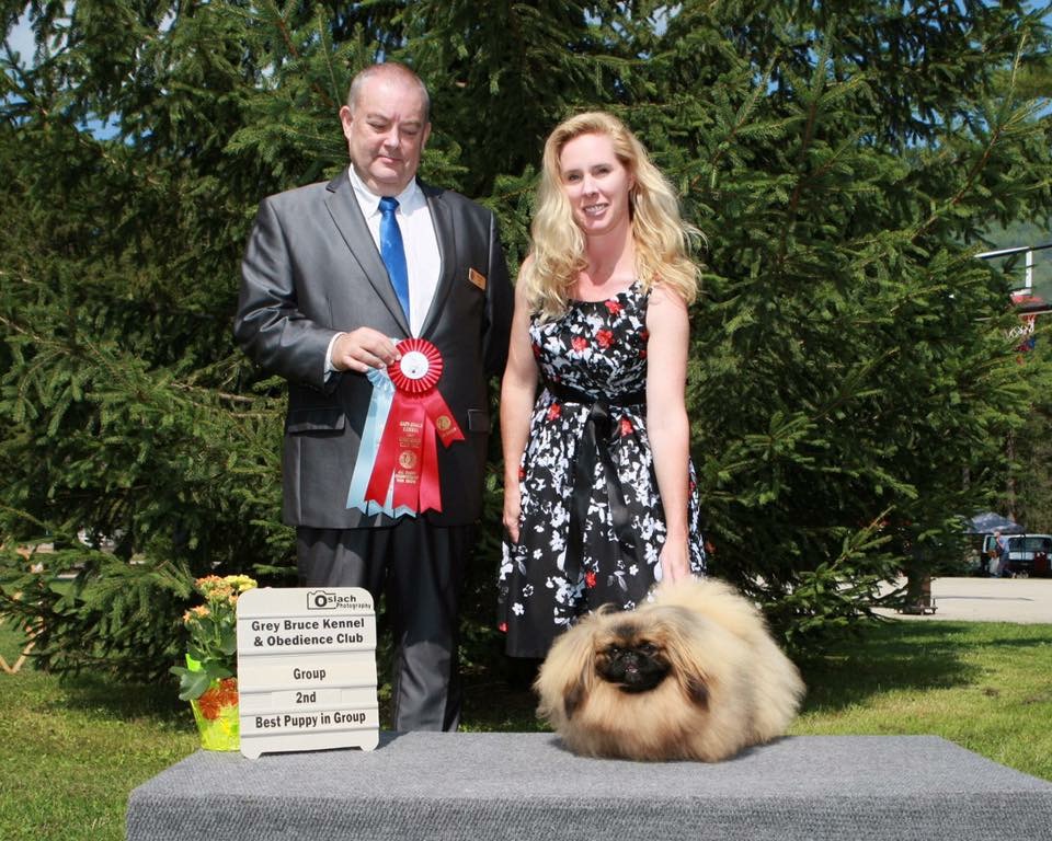 CooDee Foo Fear The Beard