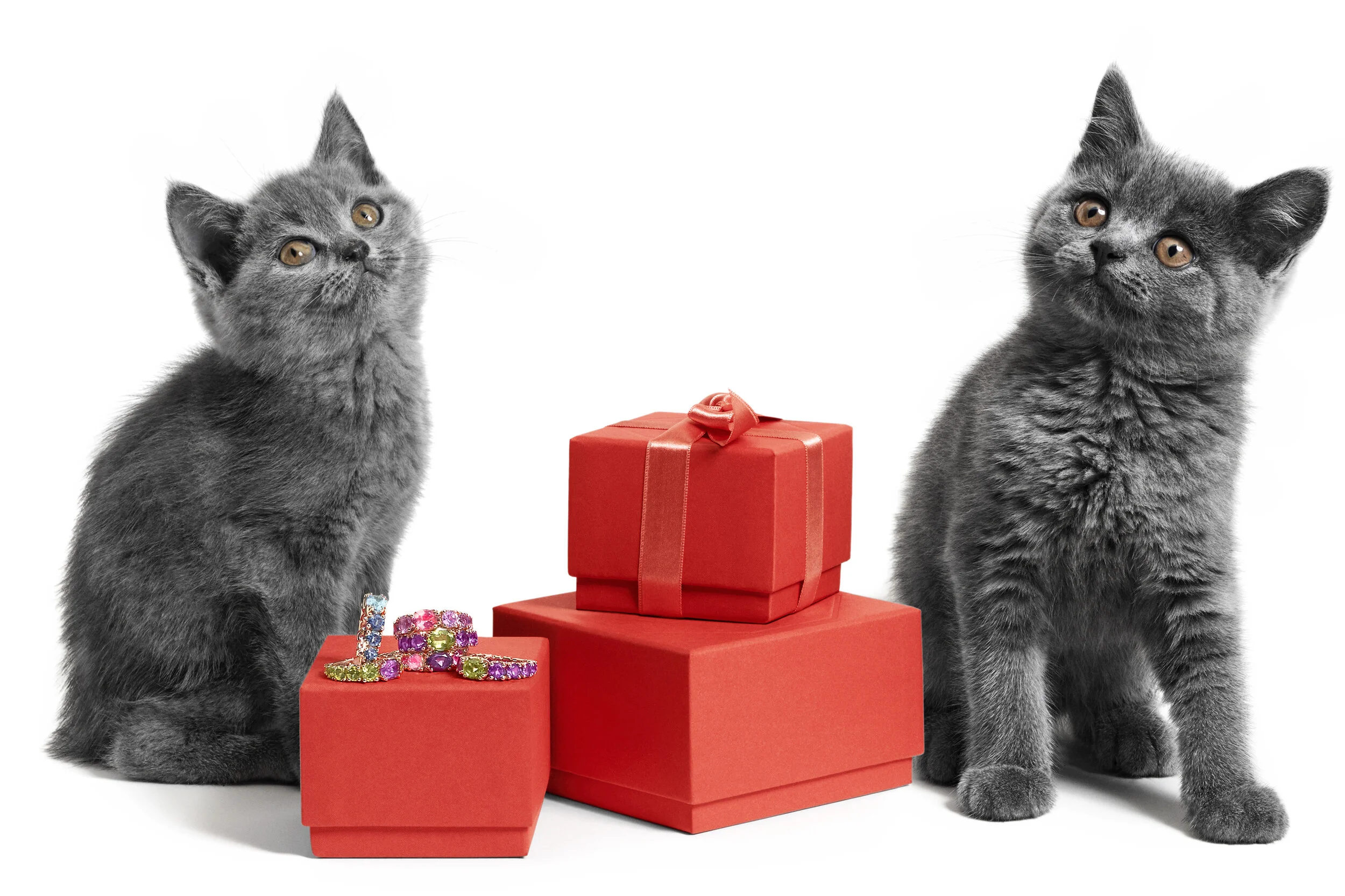 REBAT-BODEGONES-AW2020-F3 _0155_V3.jpg